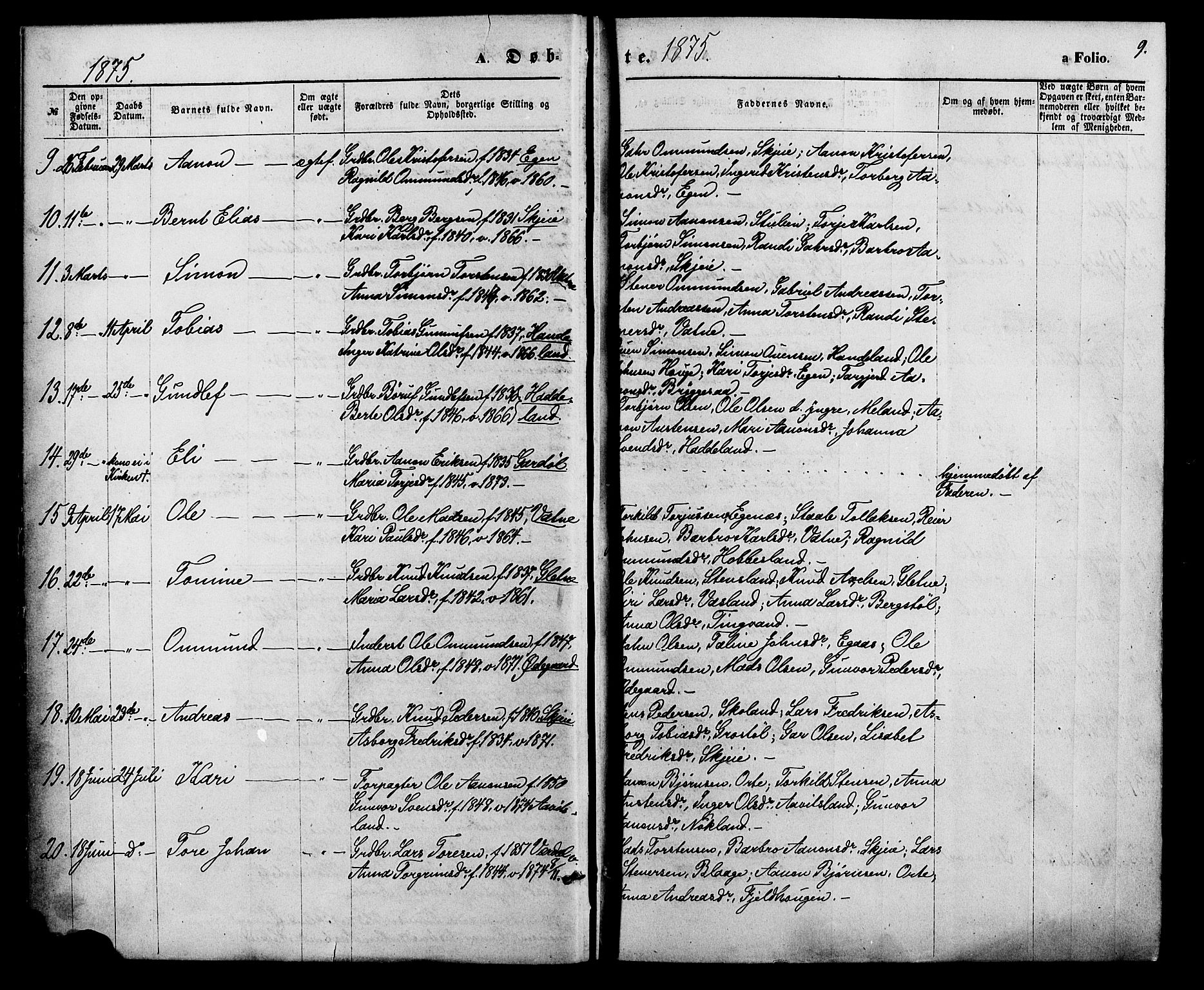 Hægebostad sokneprestkontor, AV/SAK-1111-0024/F/Fa/Fab/L0003: Parish register (official) no. A 3, 1872-1886, p. 9