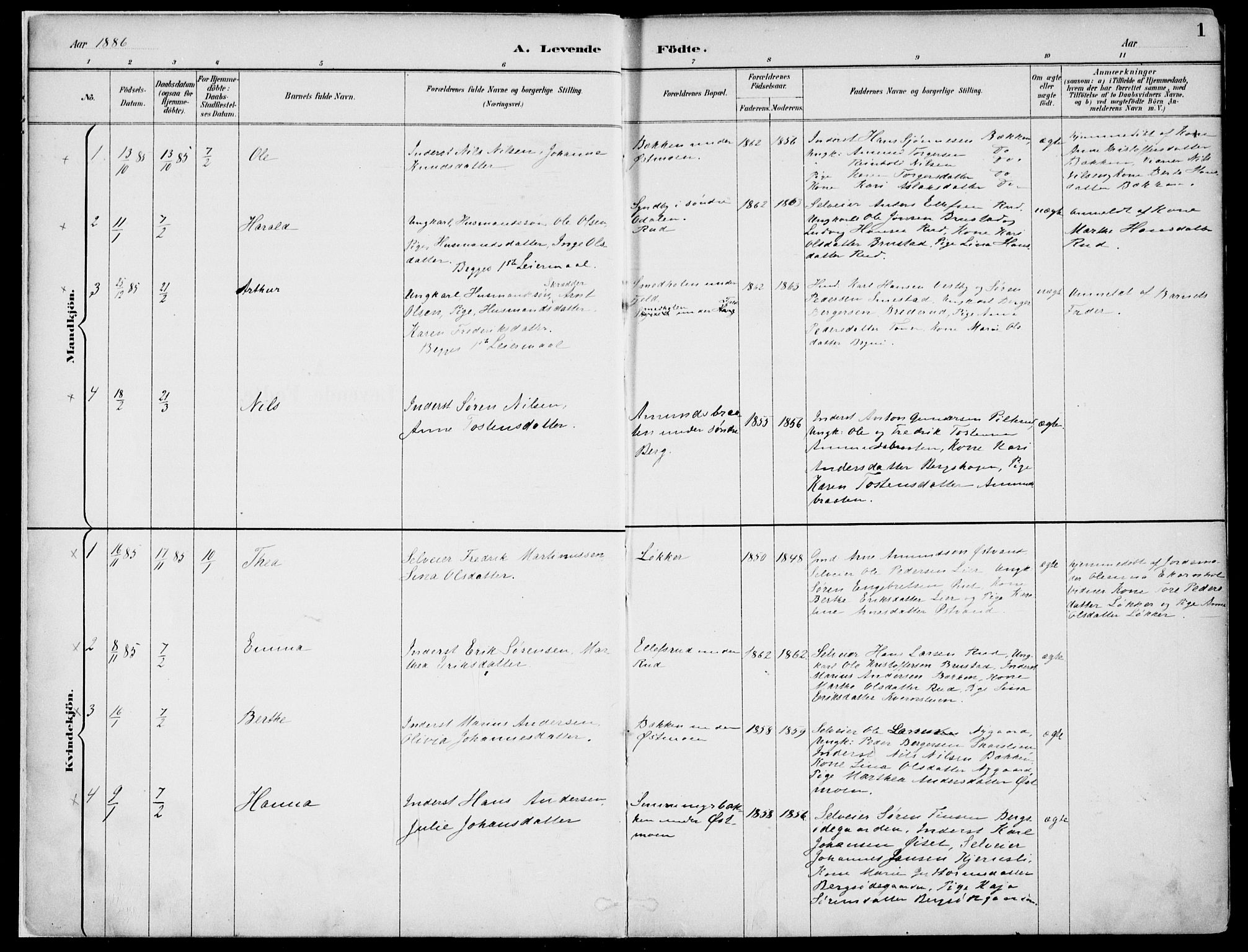 Nord-Odal prestekontor, SAH/PREST-032/H/Ha/Haa/L0008: Parish register (official) no. 8, 1886-1901, p. 1