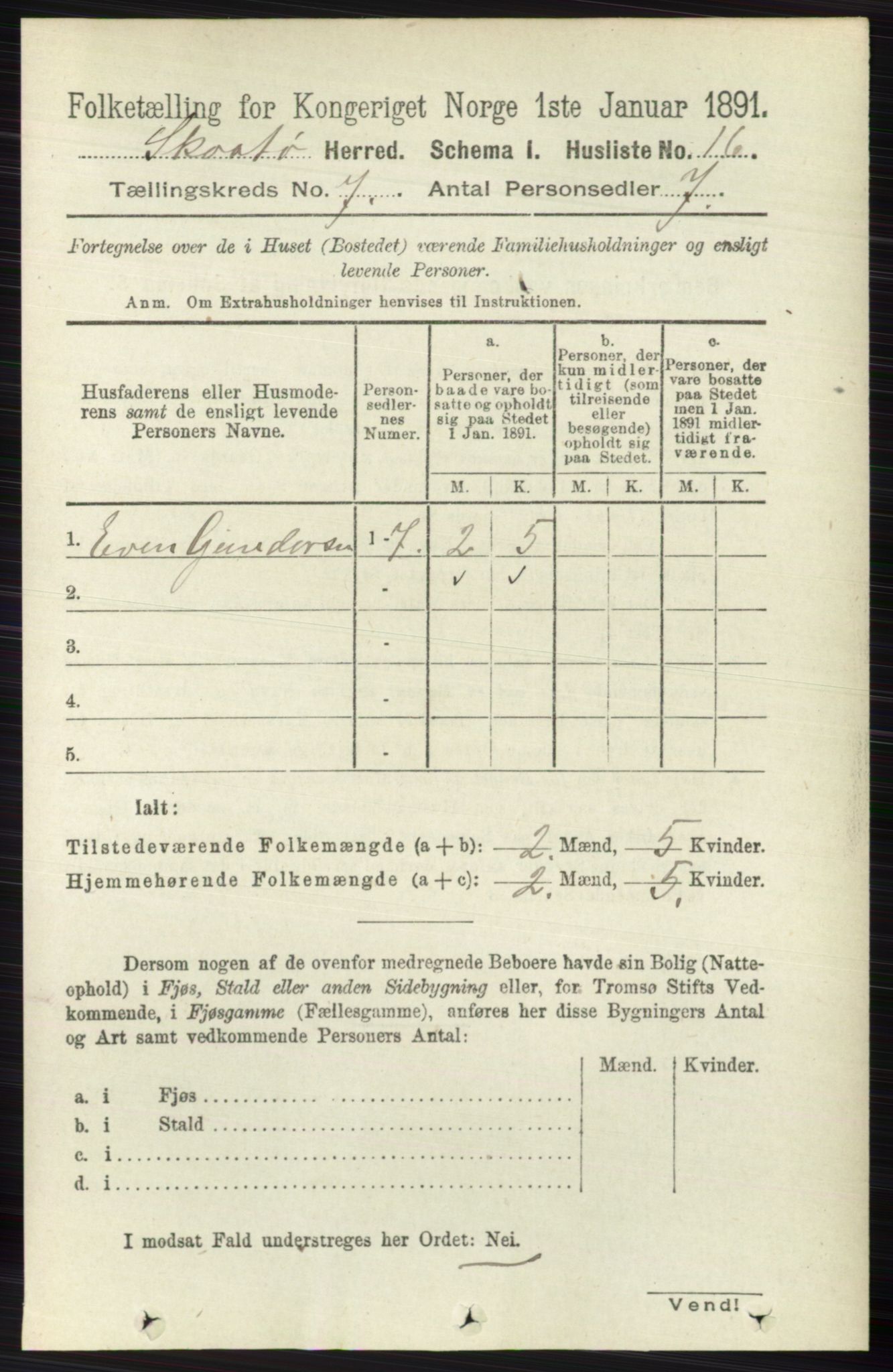 RA, 1891 census for 0815 Skåtøy, 1891, p. 3013