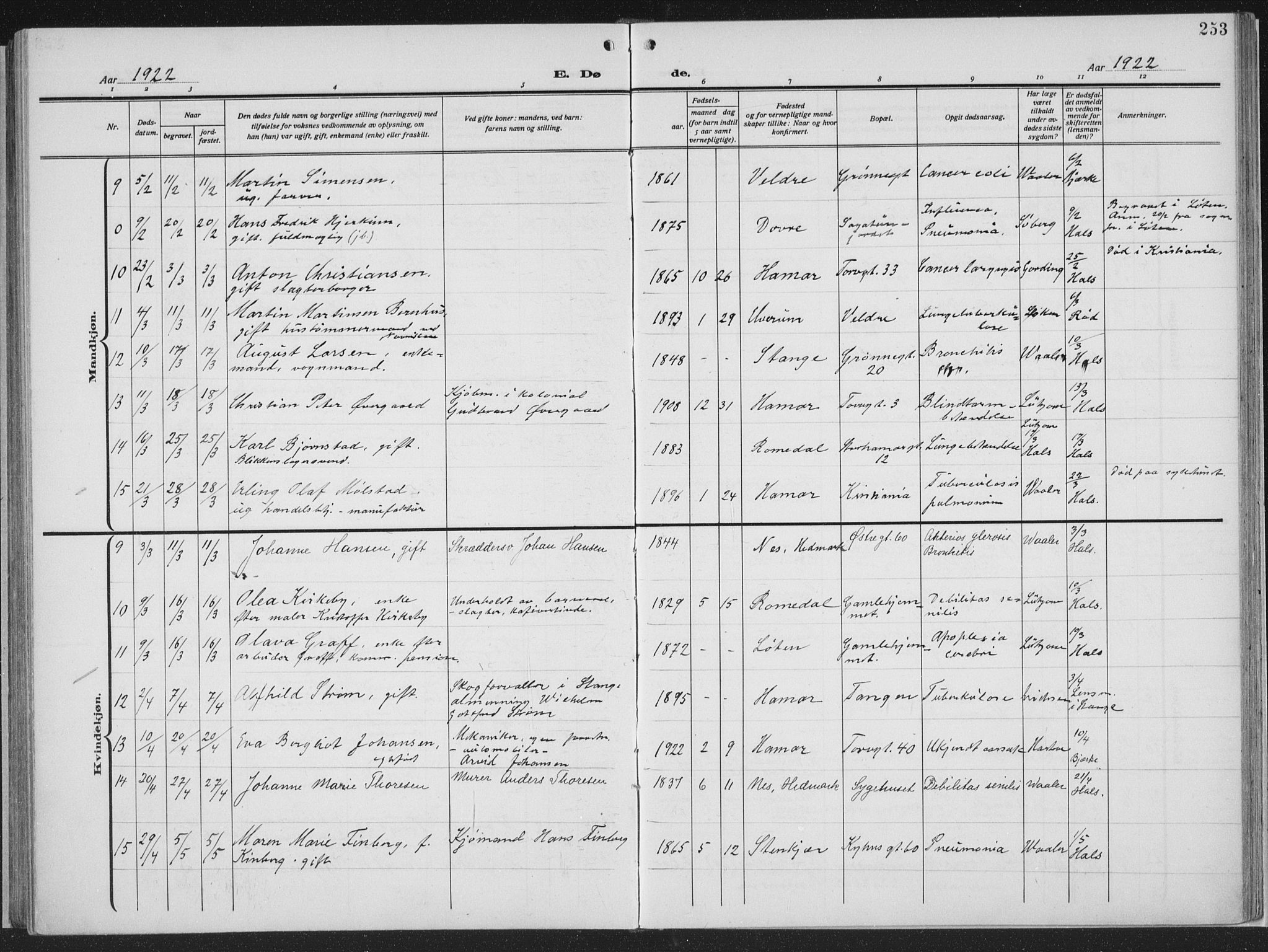 Hamar prestekontor, AV/SAH-DOMPH-002/H/Ha/Haa/L0002: Parish register (official) no. 2, 1915-1936, p. 253