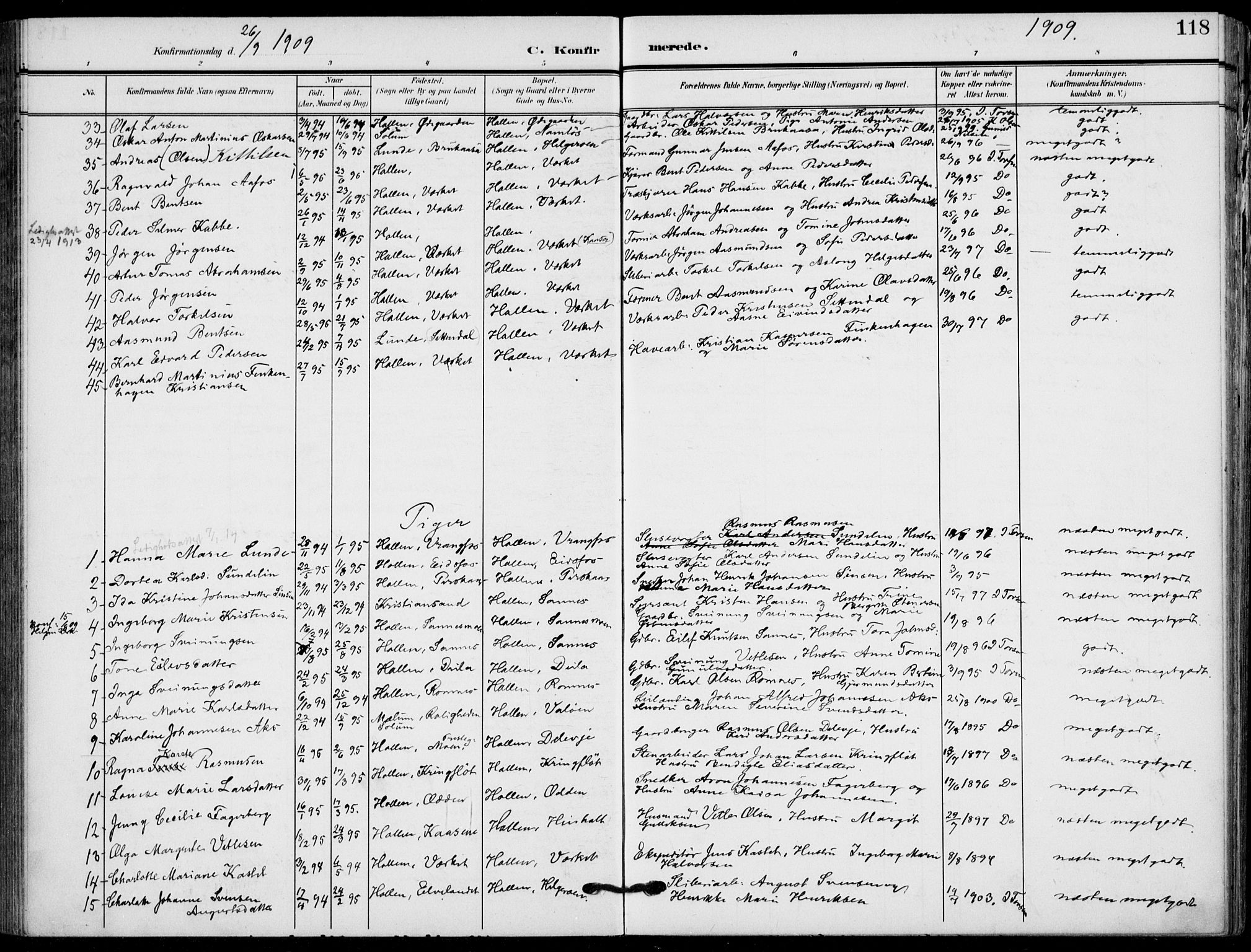 Holla kirkebøker, AV/SAKO-A-272/F/Fa/L0012: Parish register (official) no. 12, 1907-1923, p. 118