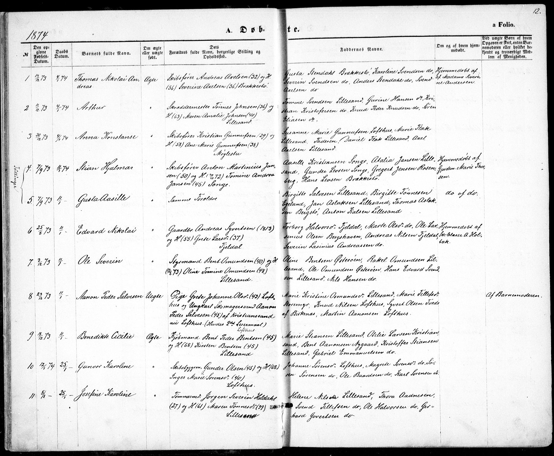 Vestre Moland sokneprestkontor, SAK/1111-0046/F/Fb/Fbb/L0005: Parish register (copy) no. B 5, 1872-1883, p. 12