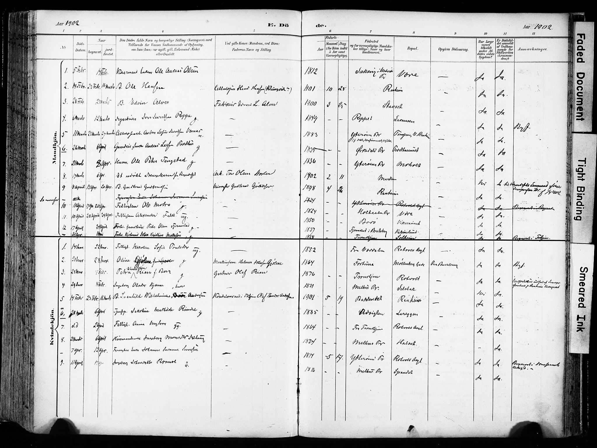 Ministerialprotokoller, klokkerbøker og fødselsregistre - Sør-Trøndelag, SAT/A-1456/606/L0301: Parish register (official) no. 606A16, 1894-1907