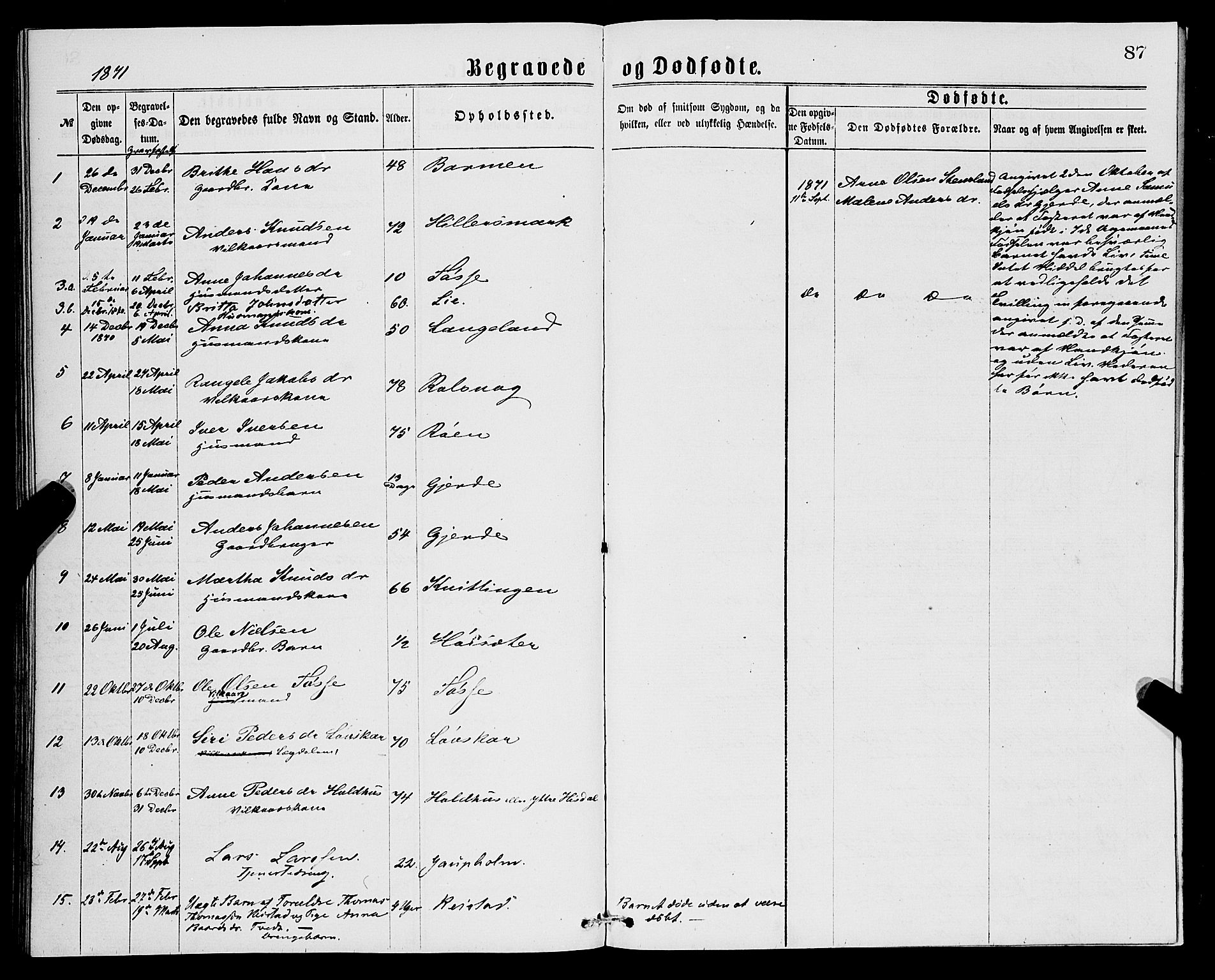 Samnanger Sokneprestembete, AV/SAB-A-77501/H/Hab: Parish register (copy) no. A 1, 1869-1878, p. 87