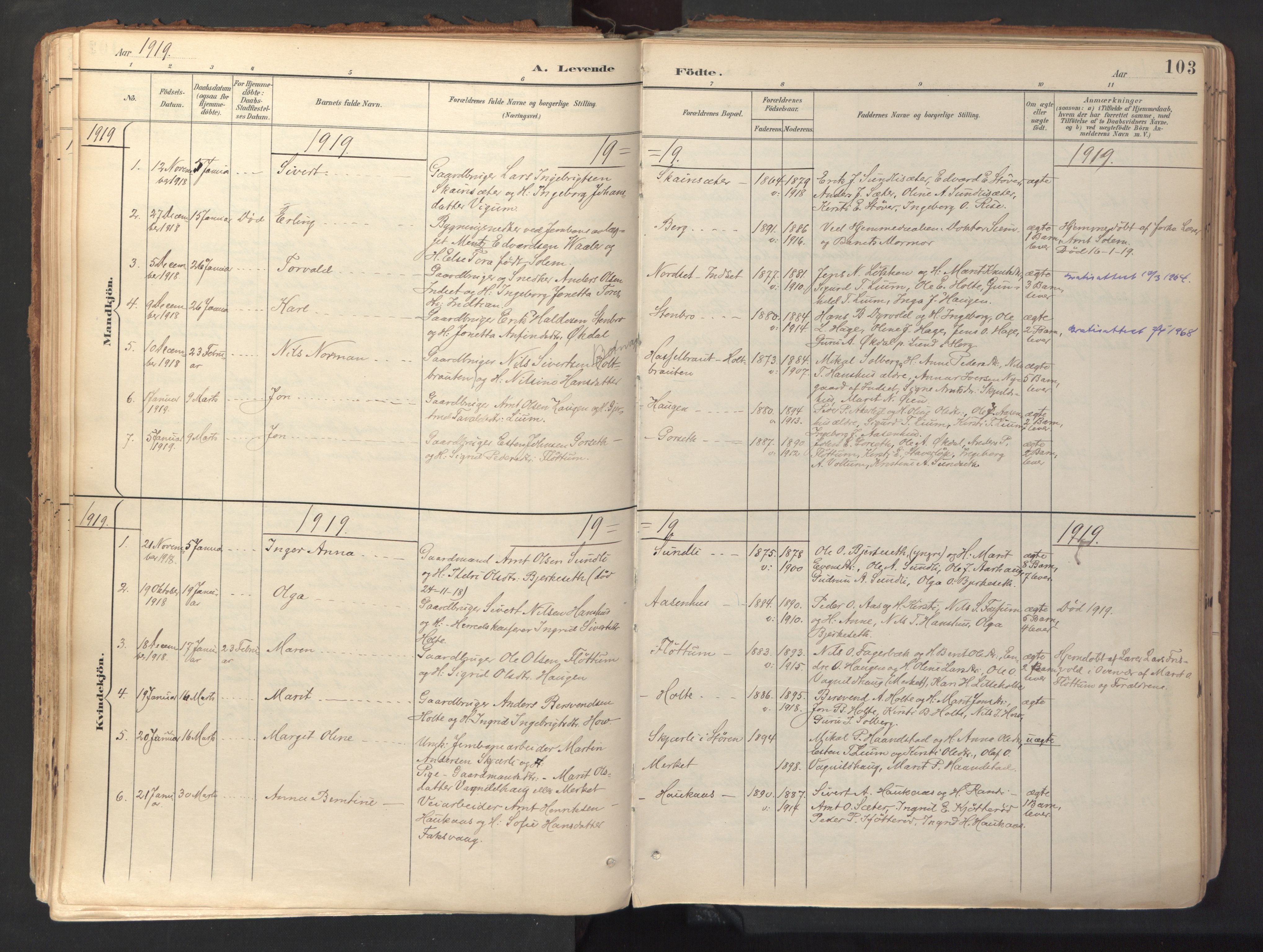 Ministerialprotokoller, klokkerbøker og fødselsregistre - Sør-Trøndelag, SAT/A-1456/689/L1041: Parish register (official) no. 689A06, 1891-1923, p. 103