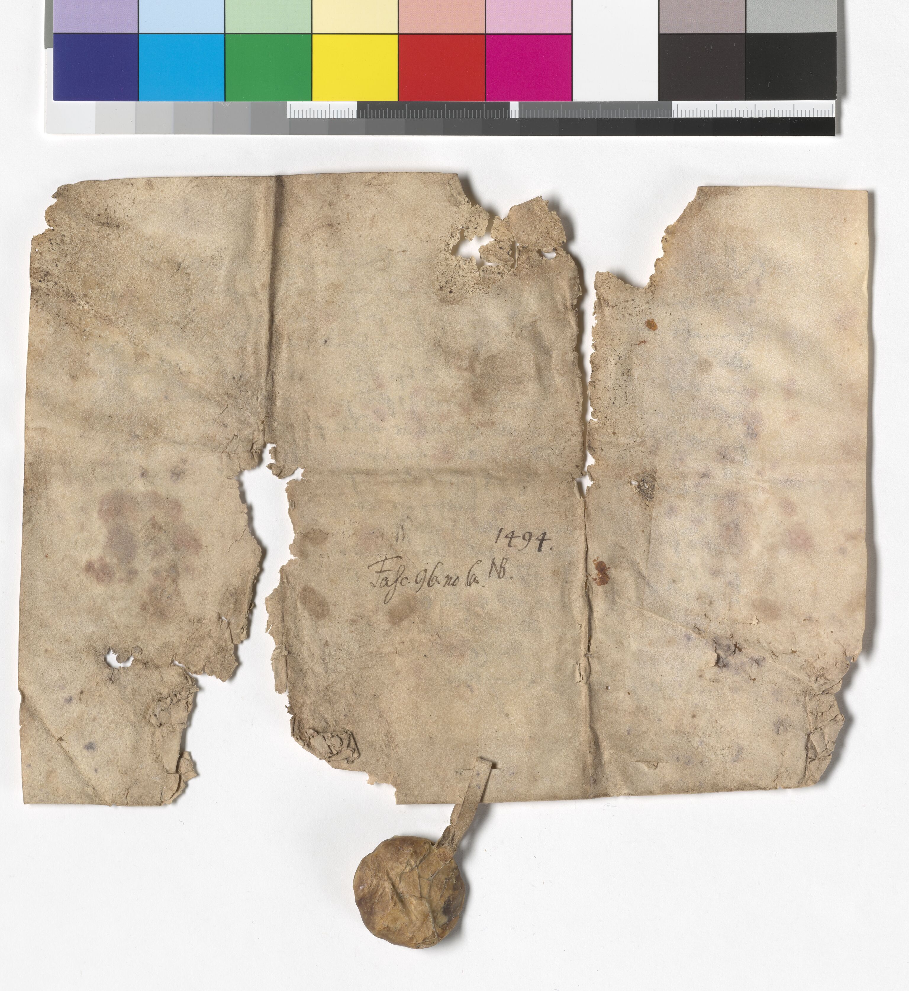 Riksarkivets diplomsamling, AV/RA-EA-5965/F05/L0233: NRA AM fasc. 96 nr. 6 - fasc. 97 nr. 1, 1494-1502, p. 3