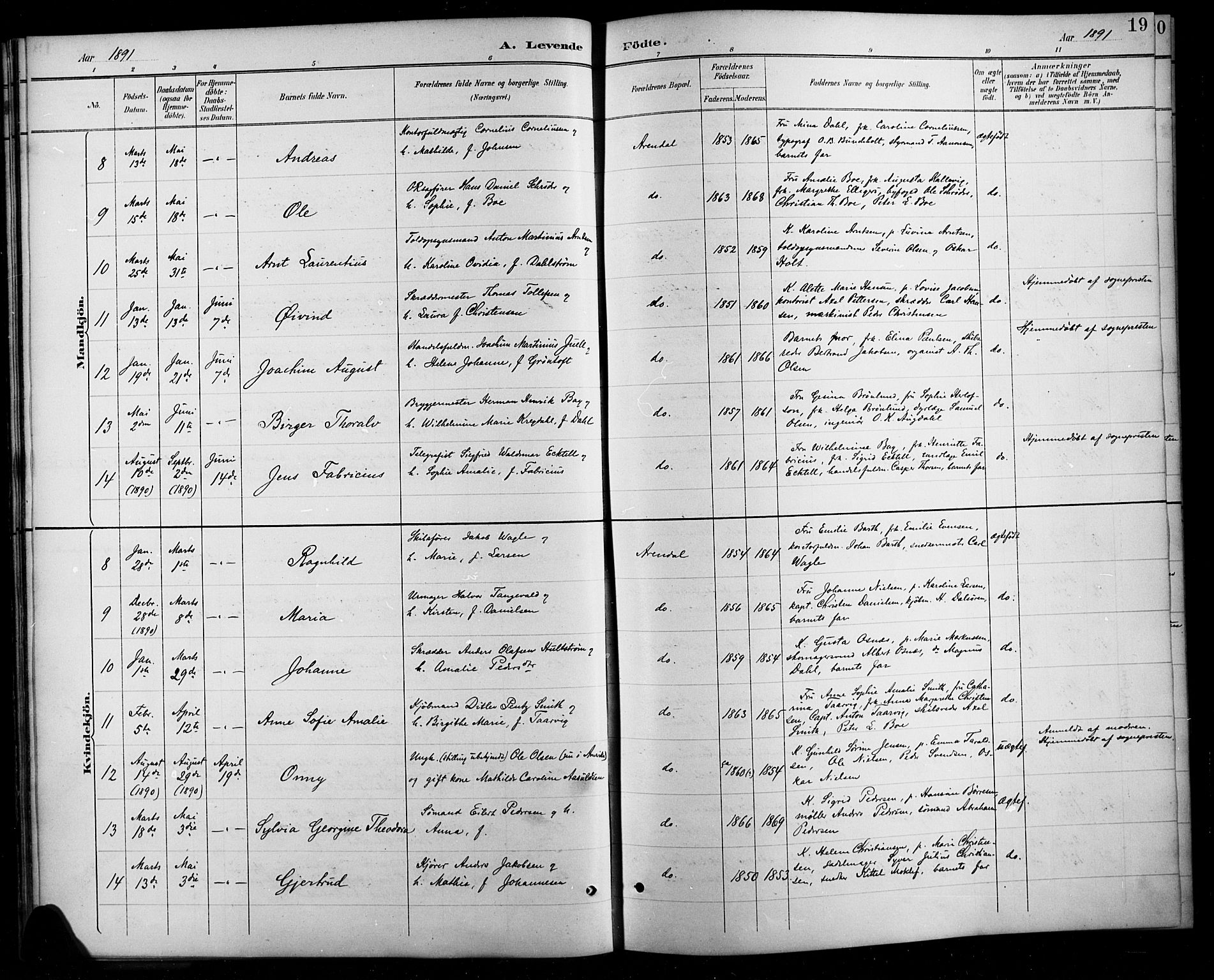 Arendal sokneprestkontor, Trefoldighet, AV/SAK-1111-0040/F/Fb/L0006: Parish register (copy) no. B 6, 1889-1916, p. 19