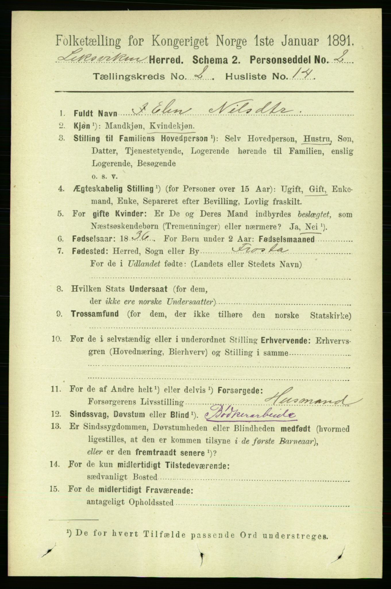 RA, 1891 census for 1718 Leksvik, 1891, p. 741