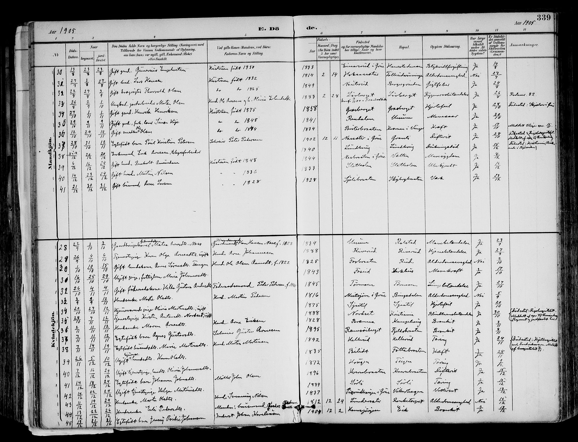 Brandval prestekontor, AV/SAH-PREST-034/H/Ha/Haa/L0003: Parish register (official) no. 3, 1894-1909, p. 339