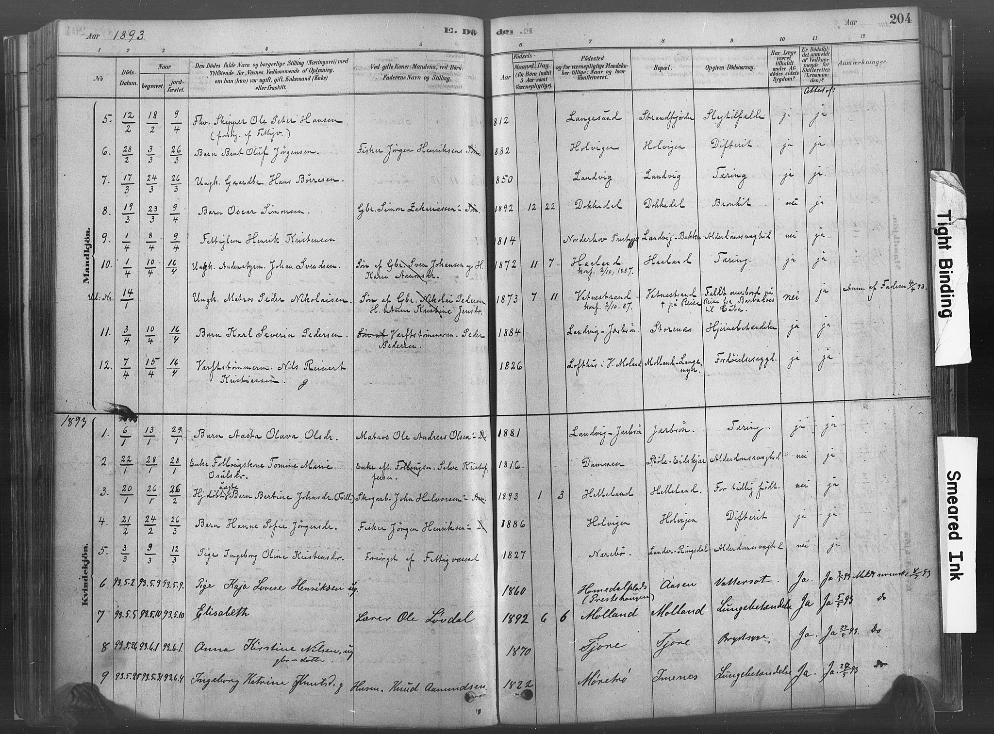 Hommedal sokneprestkontor, AV/SAK-1111-0023/F/Fa/Fab/L0006: Parish register (official) no. A 6, 1878-1897, p. 204