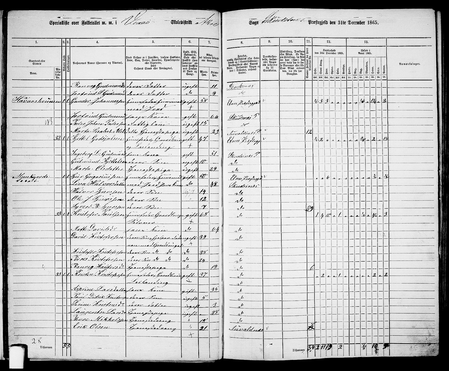 RA, 1865 census for Skudenes, 1865, p. 25