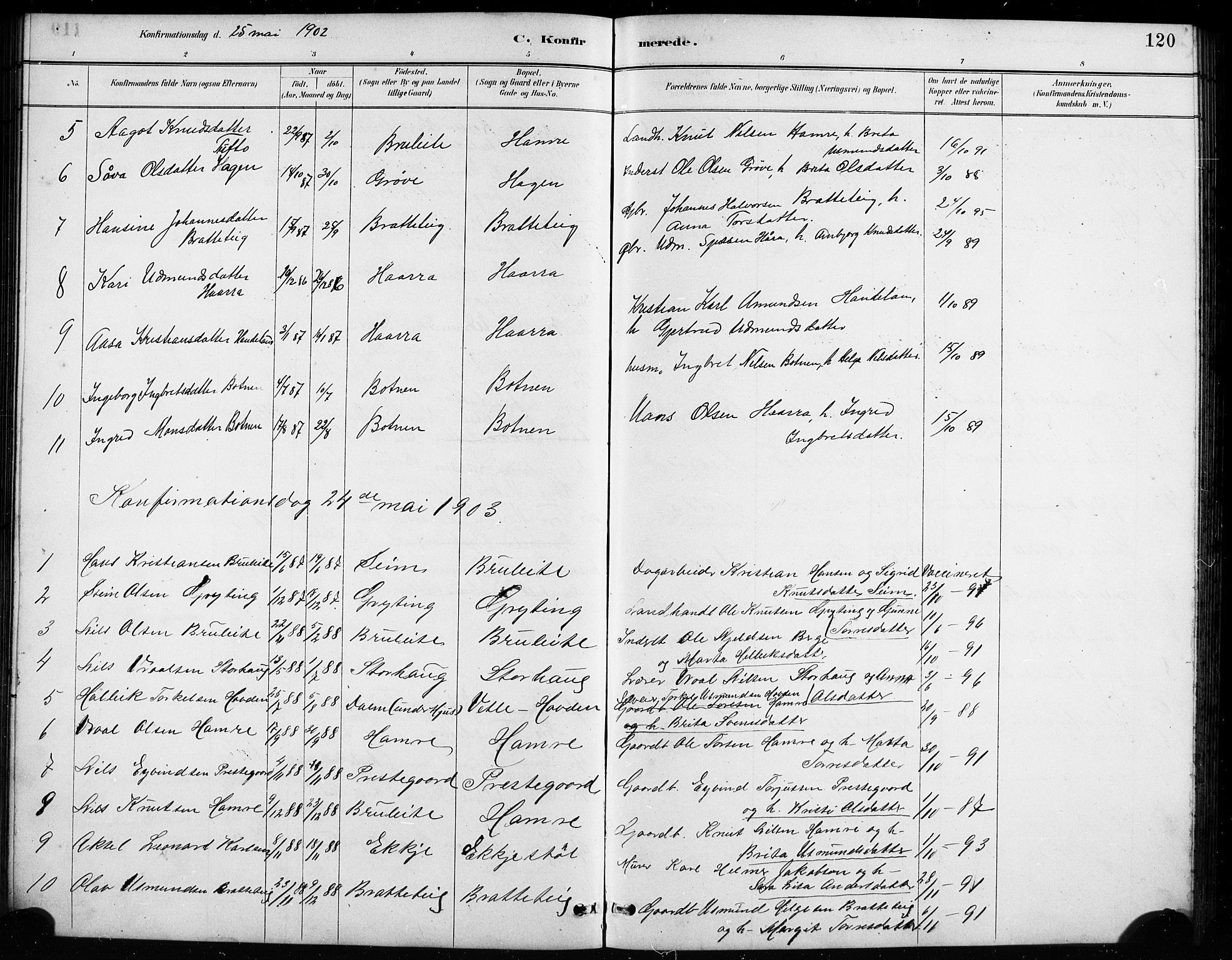 Røldal sokneprestembete, SAB/A-100247: Parish register (copy) no. A 3, 1887-1917, p. 120