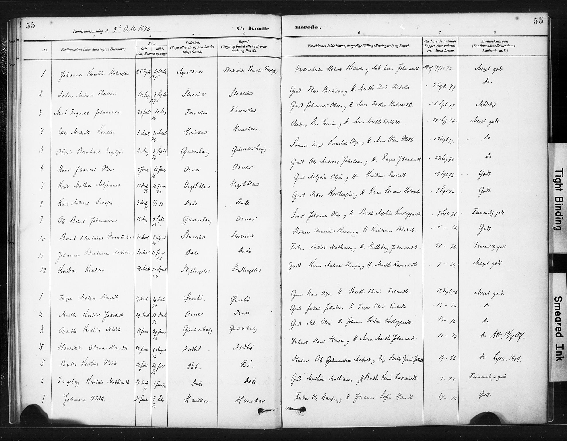 Torvastad sokneprestkontor, AV/SAST-A -101857/H/Ha/Haa/L0015: Parish register (official) no. A 14, 1888-1899, p. 55