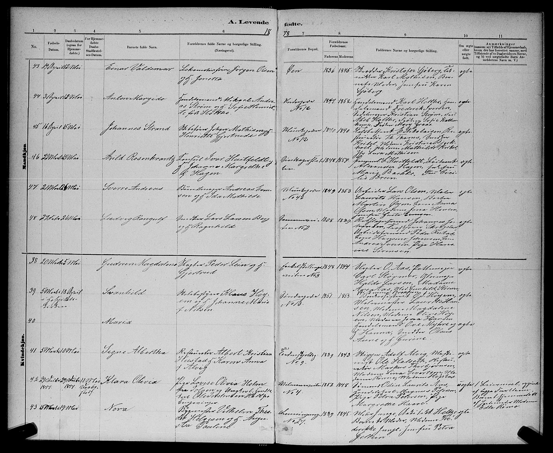 Ministerialprotokoller, klokkerbøker og fødselsregistre - Sør-Trøndelag, AV/SAT-A-1456/601/L0091: Parish register (copy) no. 601C09, 1878-1883