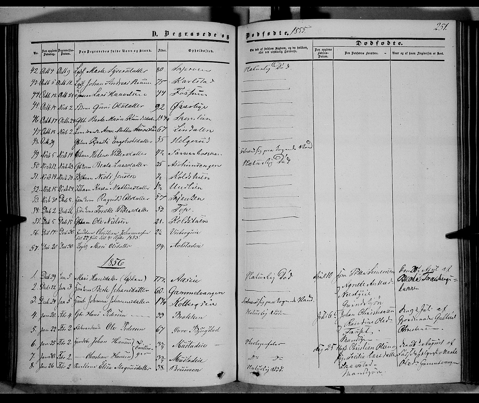 Vardal prestekontor, SAH/PREST-100/H/Ha/Haa/L0006: Parish register (official) no. 6, 1854-1866, p. 251