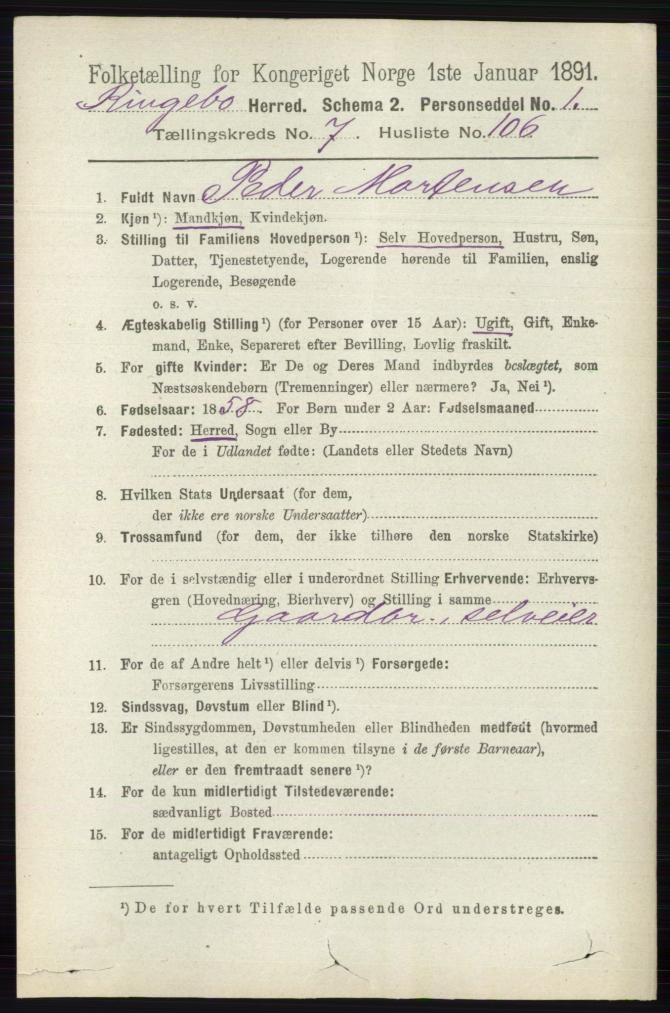 RA, 1891 census for 0520 Ringebu, 1891, p. 3565