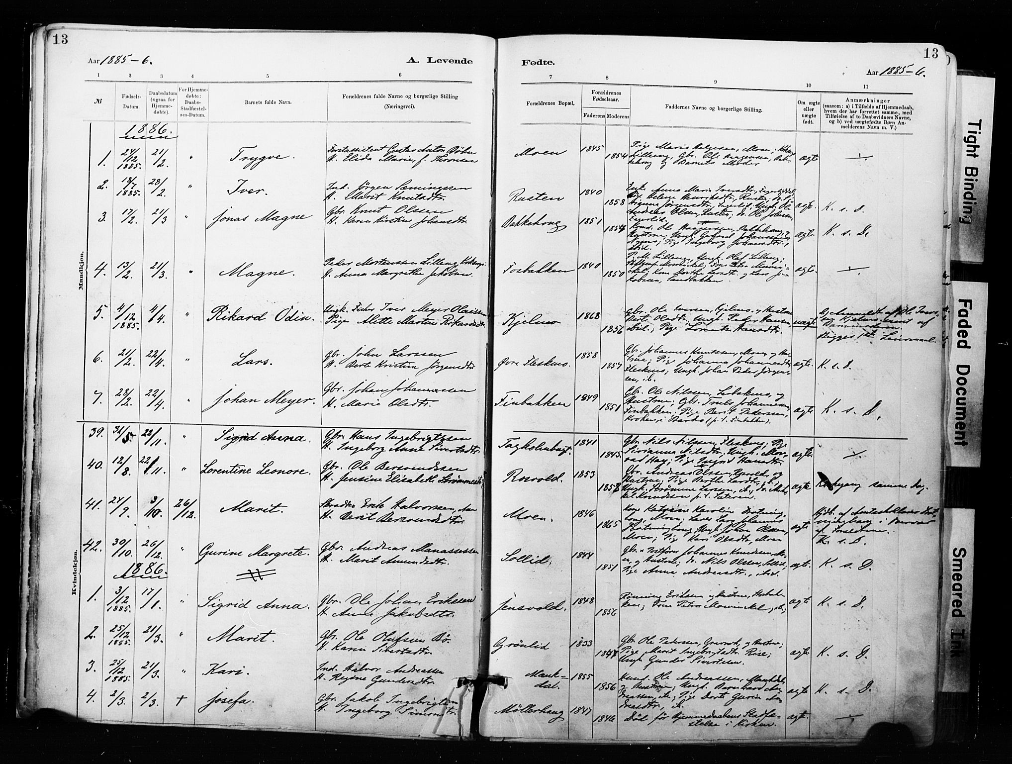 Målselv sokneprestembete, AV/SATØ-S-1311/G/Ga/Gaa/L0007kirke: Parish register (official) no. 7, 1884-1903, p. 13