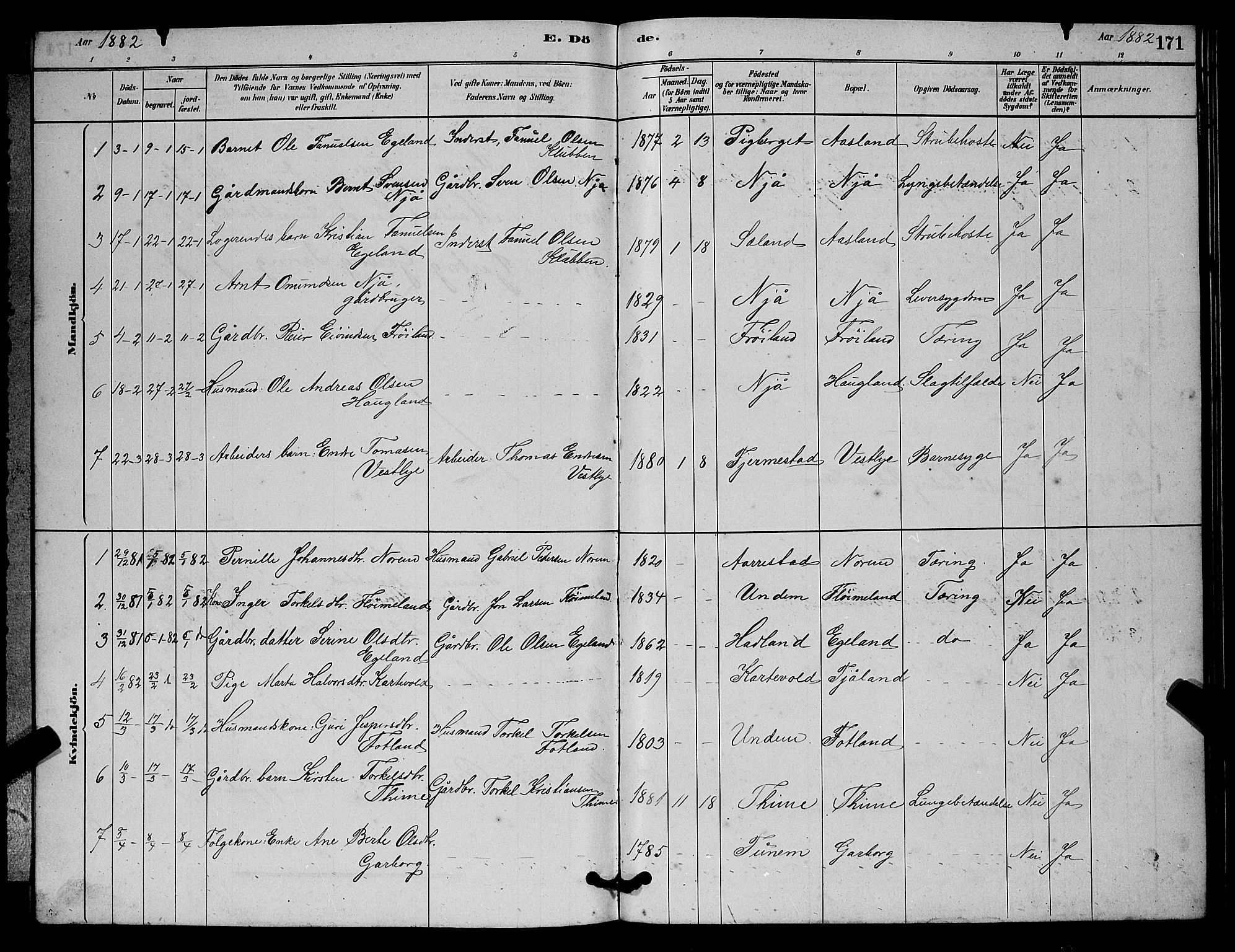 Lye sokneprestkontor, AV/SAST-A-101794/001/30BB/L0006: Parish register (copy) no. B 6, 1879-1888, p. 171