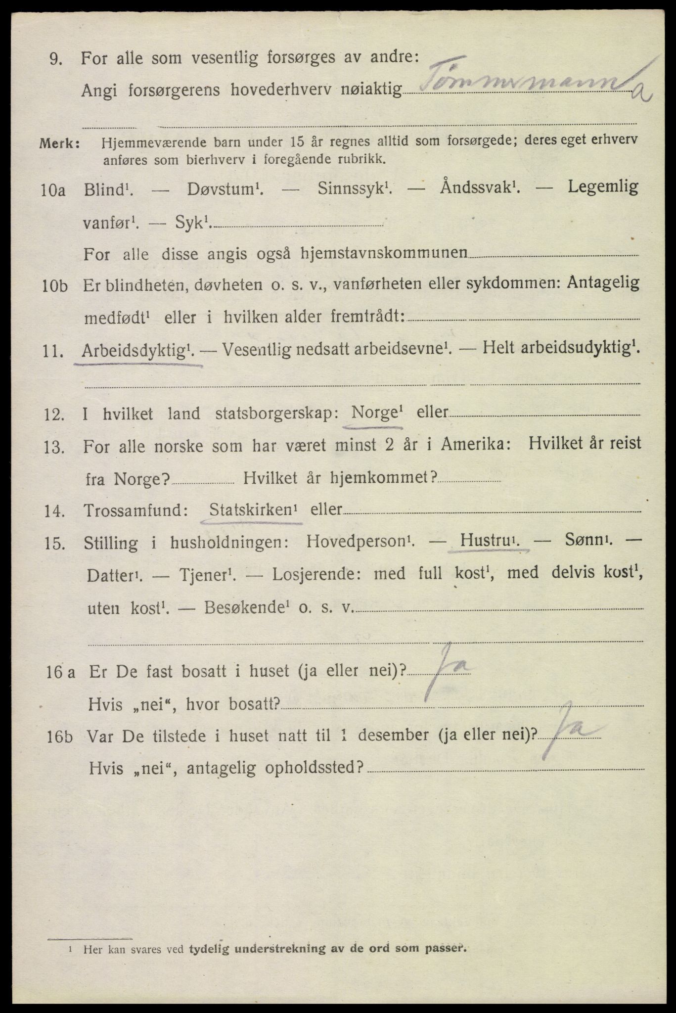 SAH, 1920 census for Furnes, 1920, p. 5162