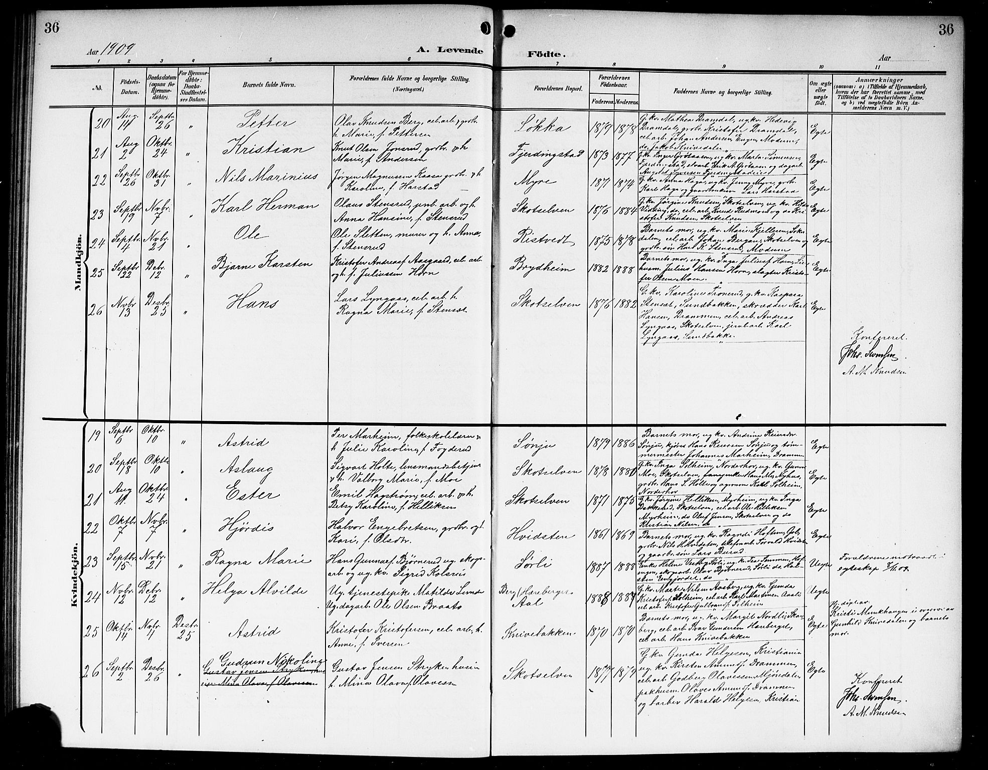 Eiker kirkebøker, AV/SAKO-A-4/G/Gb/L0005: Parish register (copy) no. II 5, 1901-1923, p. 36