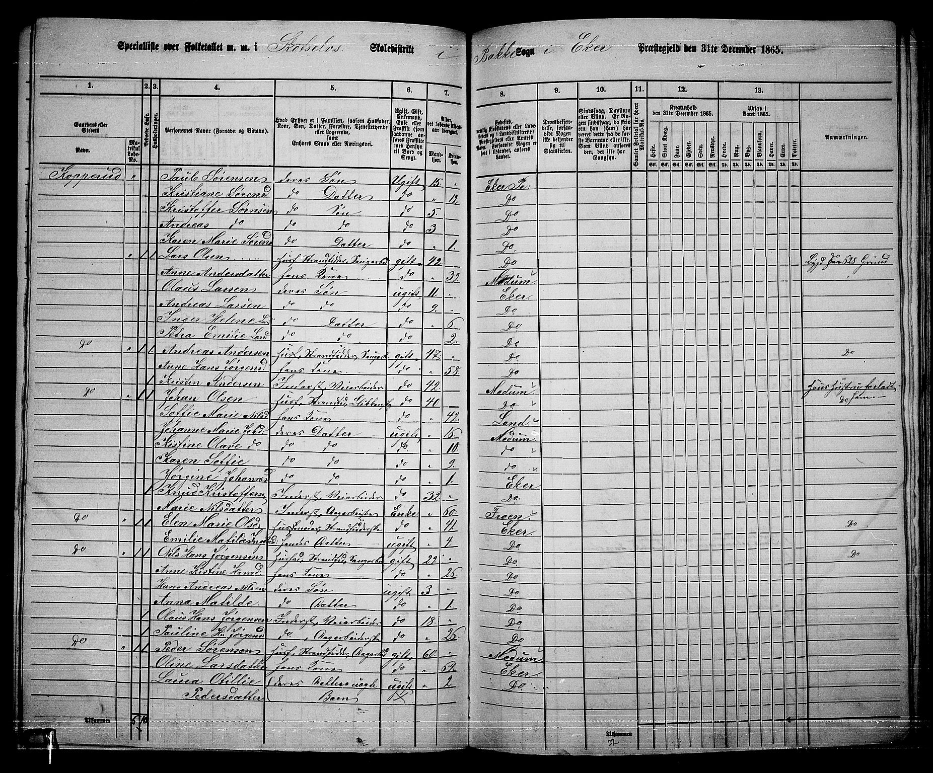 RA, 1865 census for Eiker, 1865, p. 480