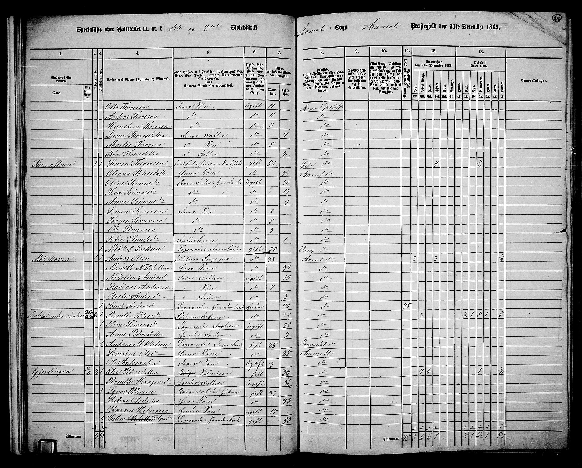 RA, 1865 census for Åmot, 1865, p. 22