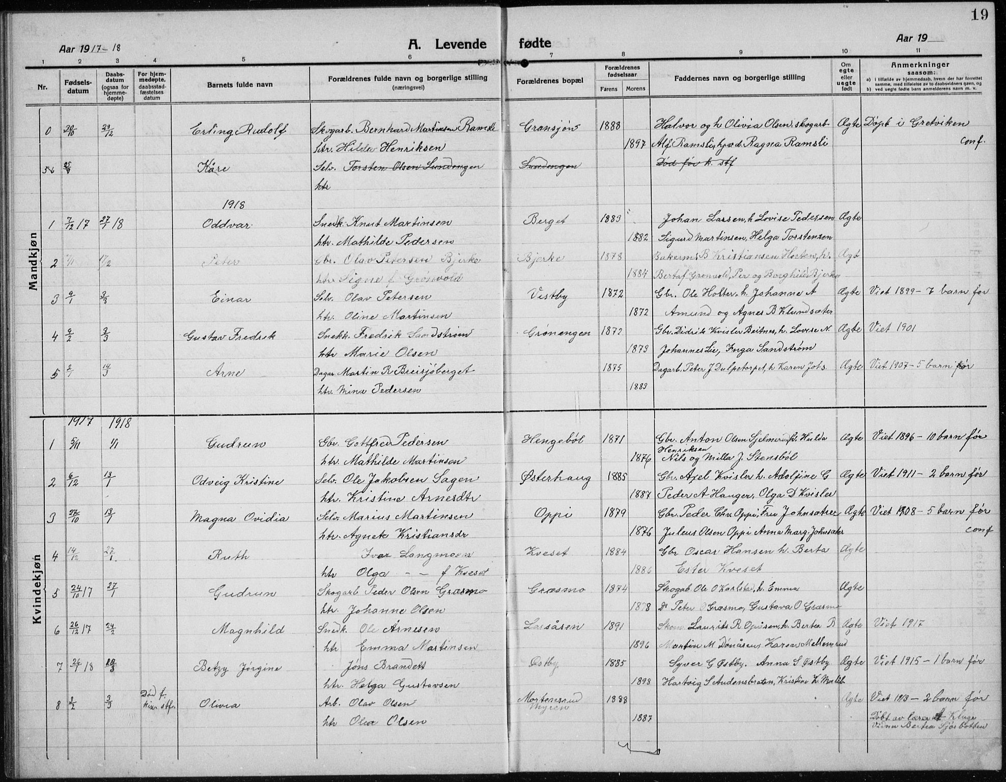 Hof prestekontor, AV/SAH-PREST-038/H/Ha/Hab/L0002: Parish register (copy) no. 2, 1915-1934, p. 19