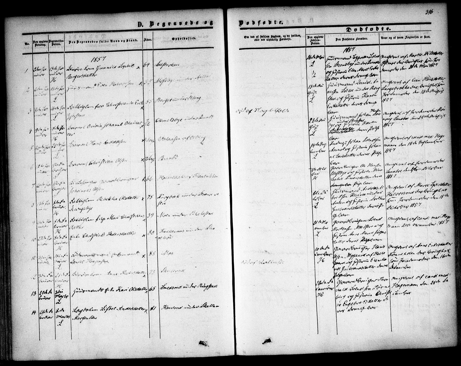 Høland prestekontor Kirkebøker, AV/SAO-A-10346a/F/Fa/L0010: Parish register (official) no. I 10, 1854-1861, p. 316