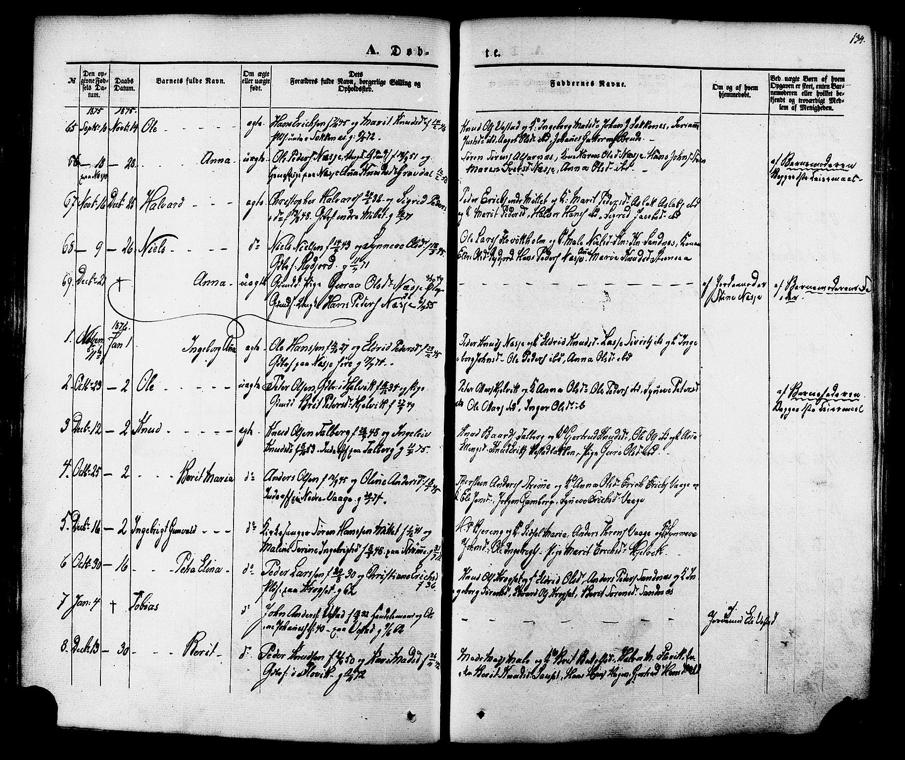 Ministerialprotokoller, klokkerbøker og fødselsregistre - Møre og Romsdal, AV/SAT-A-1454/547/L0603: Parish register (official) no. 547A05, 1846-1877, p. 134