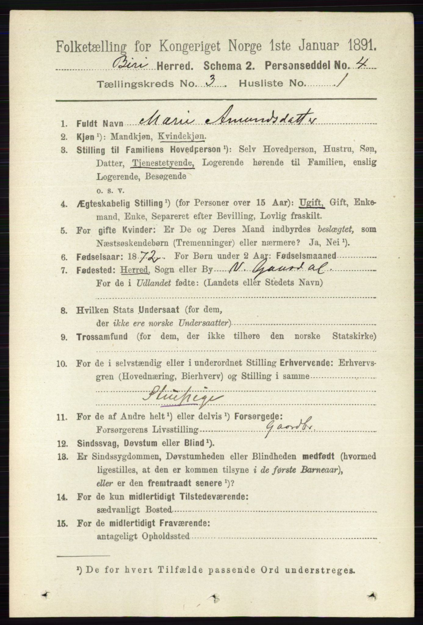 RA, 1891 census for 0525 Biri, 1891, p. 906