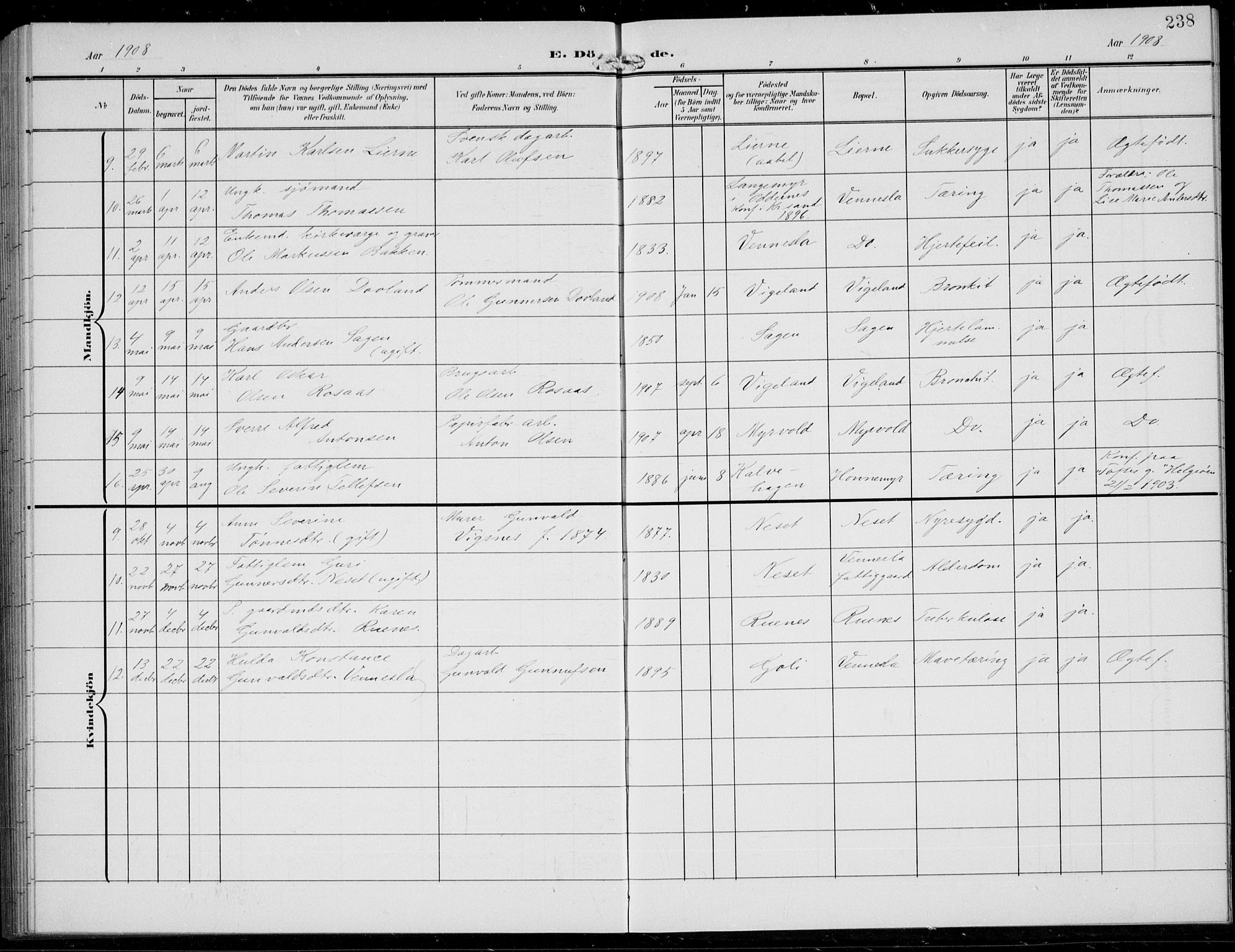 Vennesla sokneprestkontor, AV/SAK-1111-0045/Fb/Fbb/L0005: Parish register (copy) no. B 5, 1903-1913, p. 238