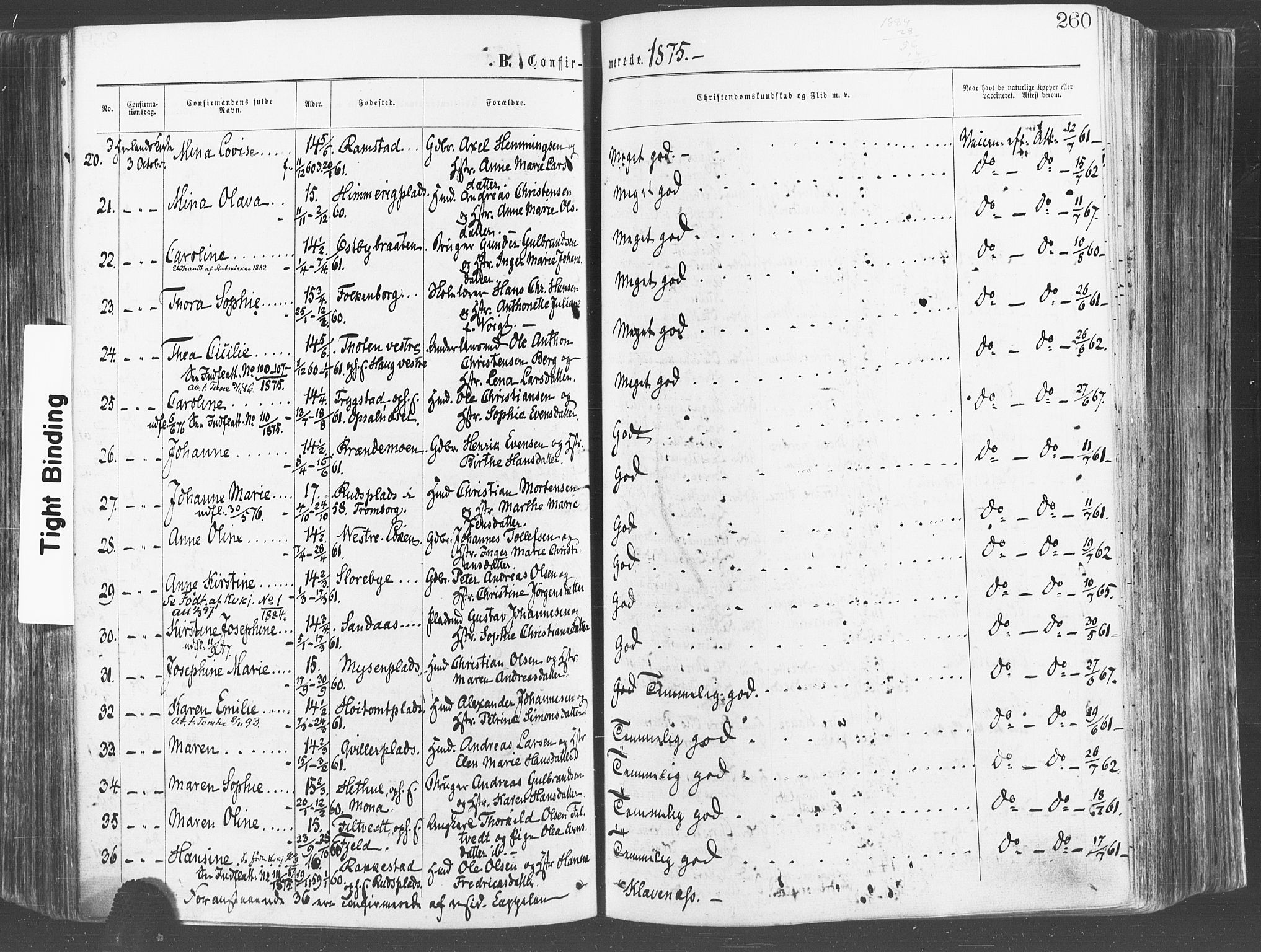 Eidsberg prestekontor Kirkebøker, SAO/A-10905/F/Fa/L0011: Parish register (official) no. I 11, 1867-1878, p. 260
