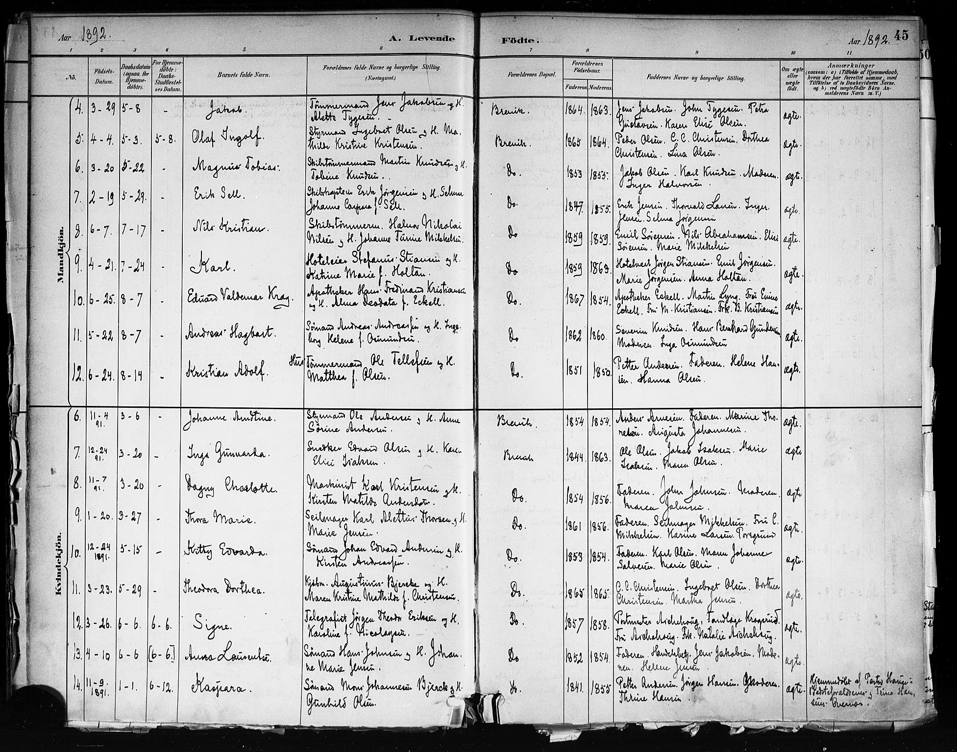 Brevik kirkebøker, SAKO/A-255/F/Fa/L0007: Parish register (official) no. 7, 1882-1900, p. 45