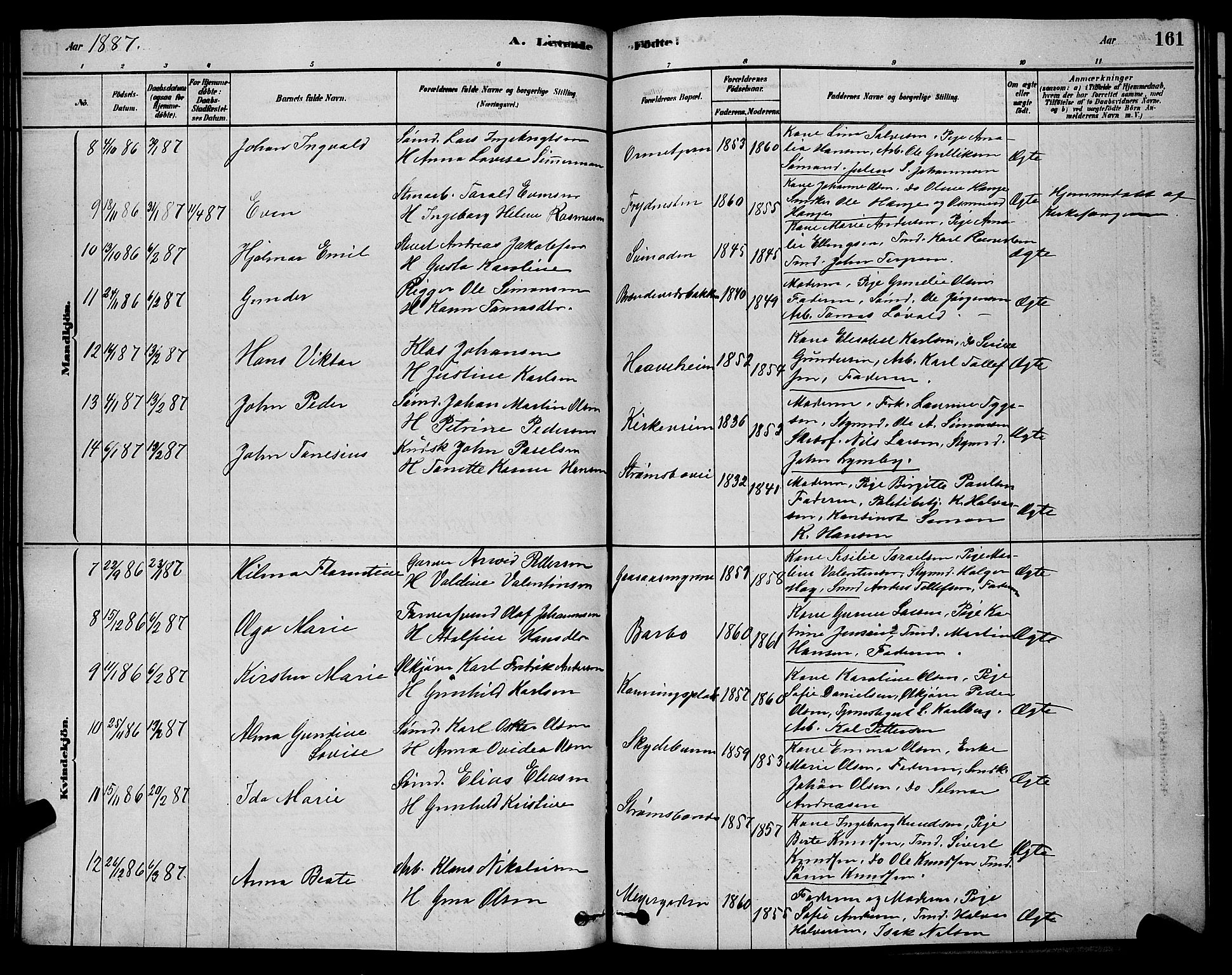 Barbu sokneprestkontor, AV/SAK-1111-0003/F/Fb/L0001: Parish register (copy) no. B 1, 1878-1890, p. 161