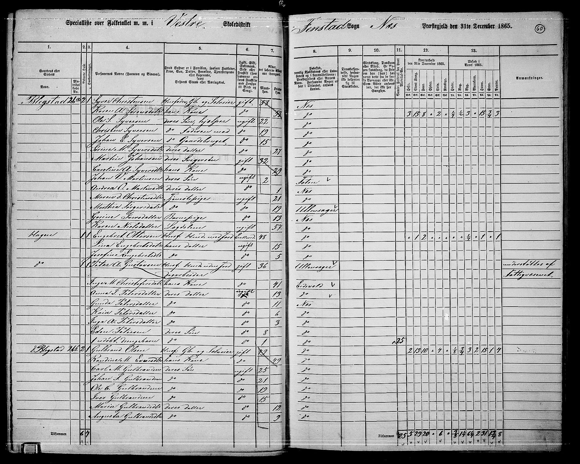 RA, 1865 census for Nes, 1865, p. 53