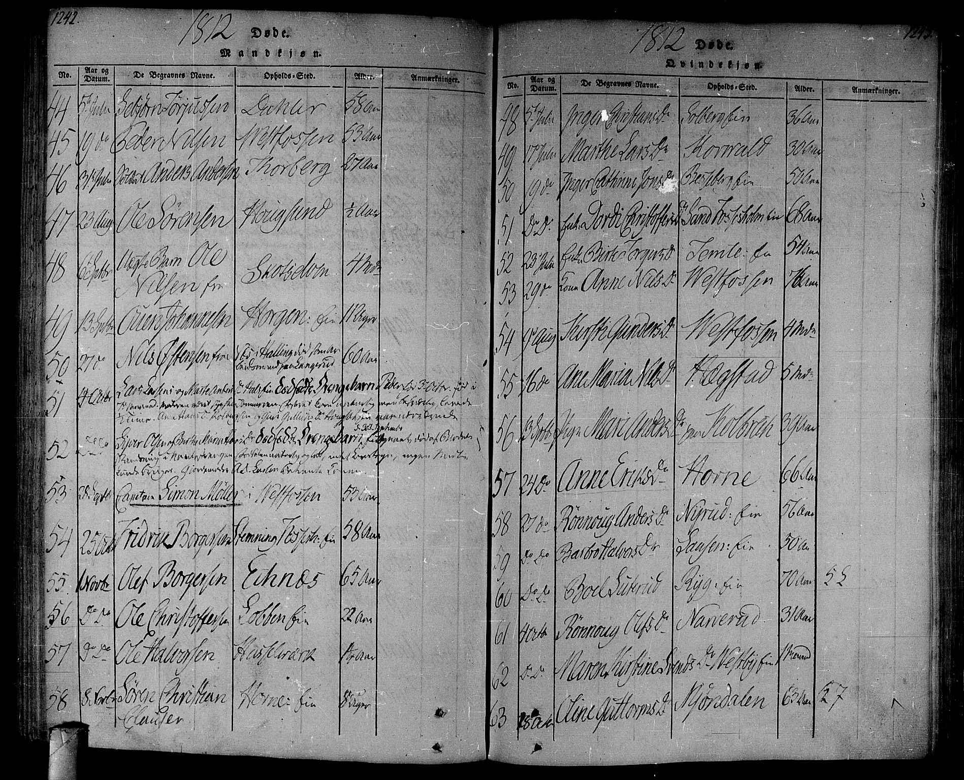 Eiker kirkebøker, AV/SAKO-A-4/F/Fa/L0010: Parish register (official) no. I 10, 1806-1815, p. 1242-1243