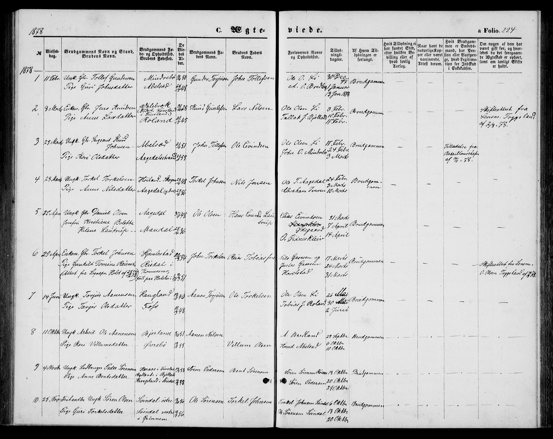 Bjelland sokneprestkontor, AV/SAK-1111-0005/F/Fb/Fba/L0004: Parish register (copy) no. B 4, 1869-1886, p. 224