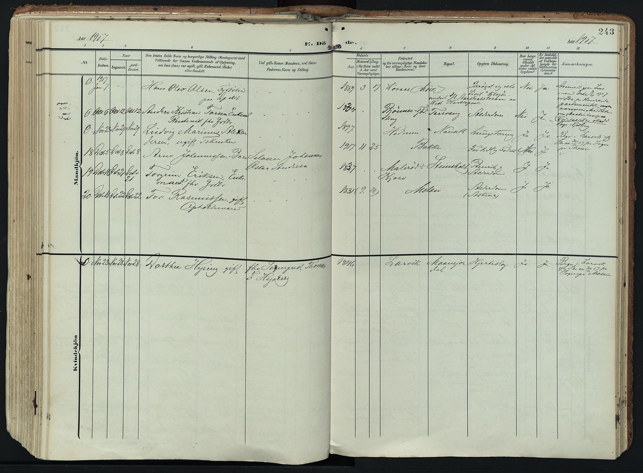Hedrum kirkebøker, SAKO/A-344/F/Fa/L0010: Parish register (official) no. I 10, 1904-1918, p. 243
