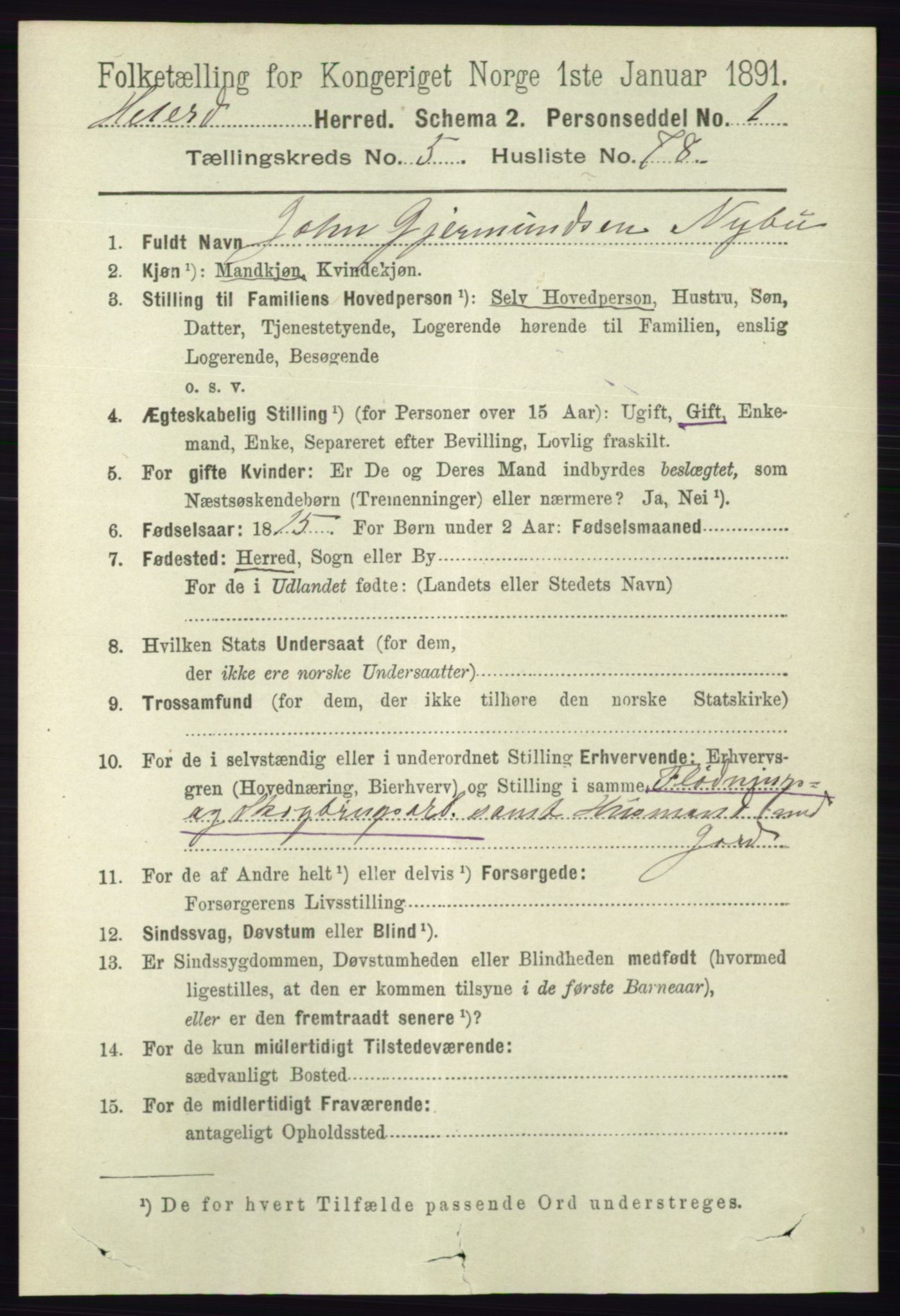 RA, 1891 census for 0823 Heddal, 1891, p. 2520