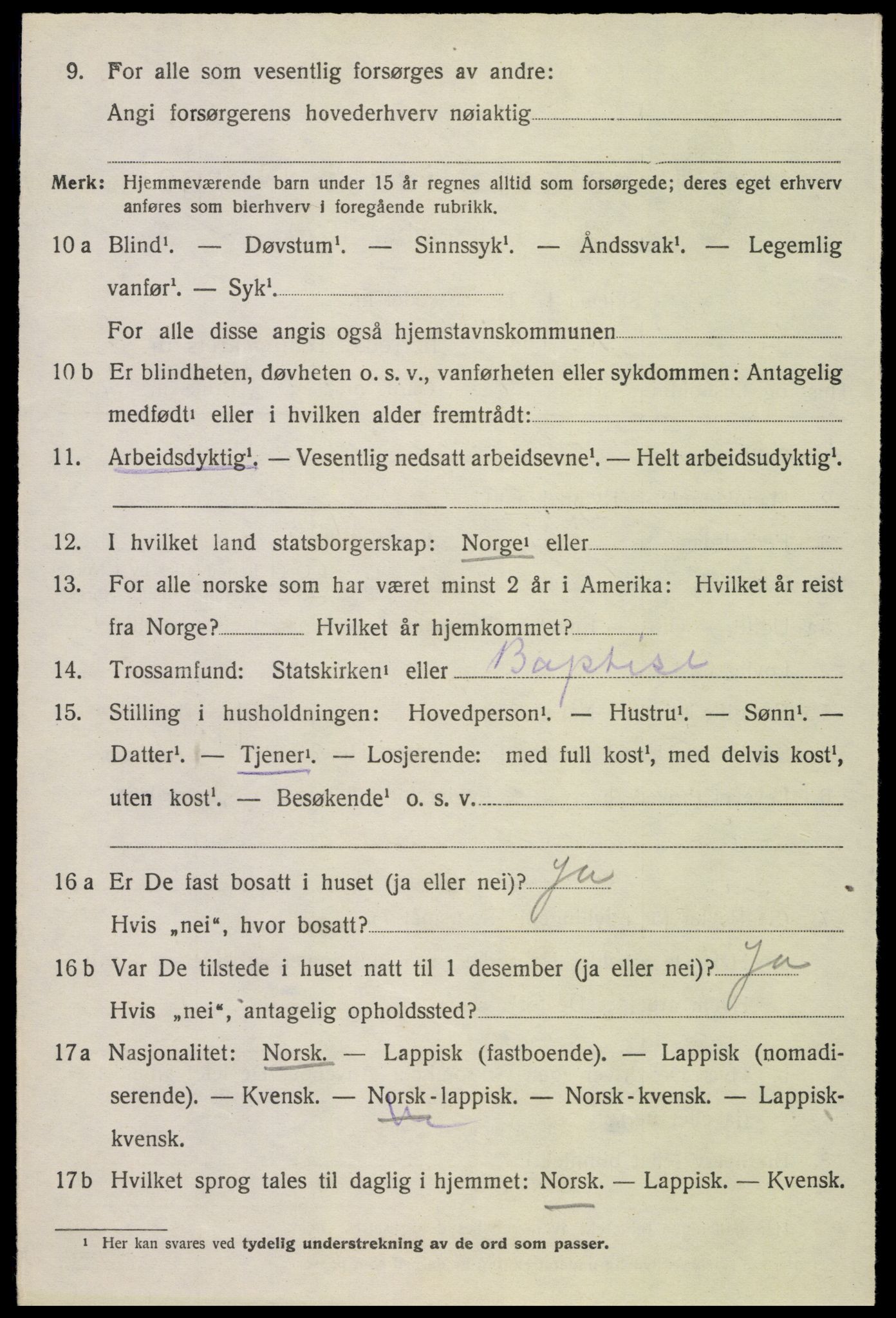 SAT, 1920 census for Bø, 1920, p. 4329