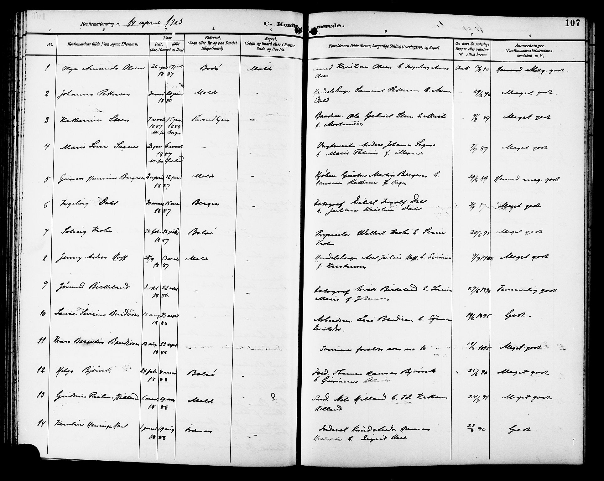 Ministerialprotokoller, klokkerbøker og fødselsregistre - Møre og Romsdal, SAT/A-1454/558/L0702: Parish register (copy) no. 558C03, 1894-1915, p. 107