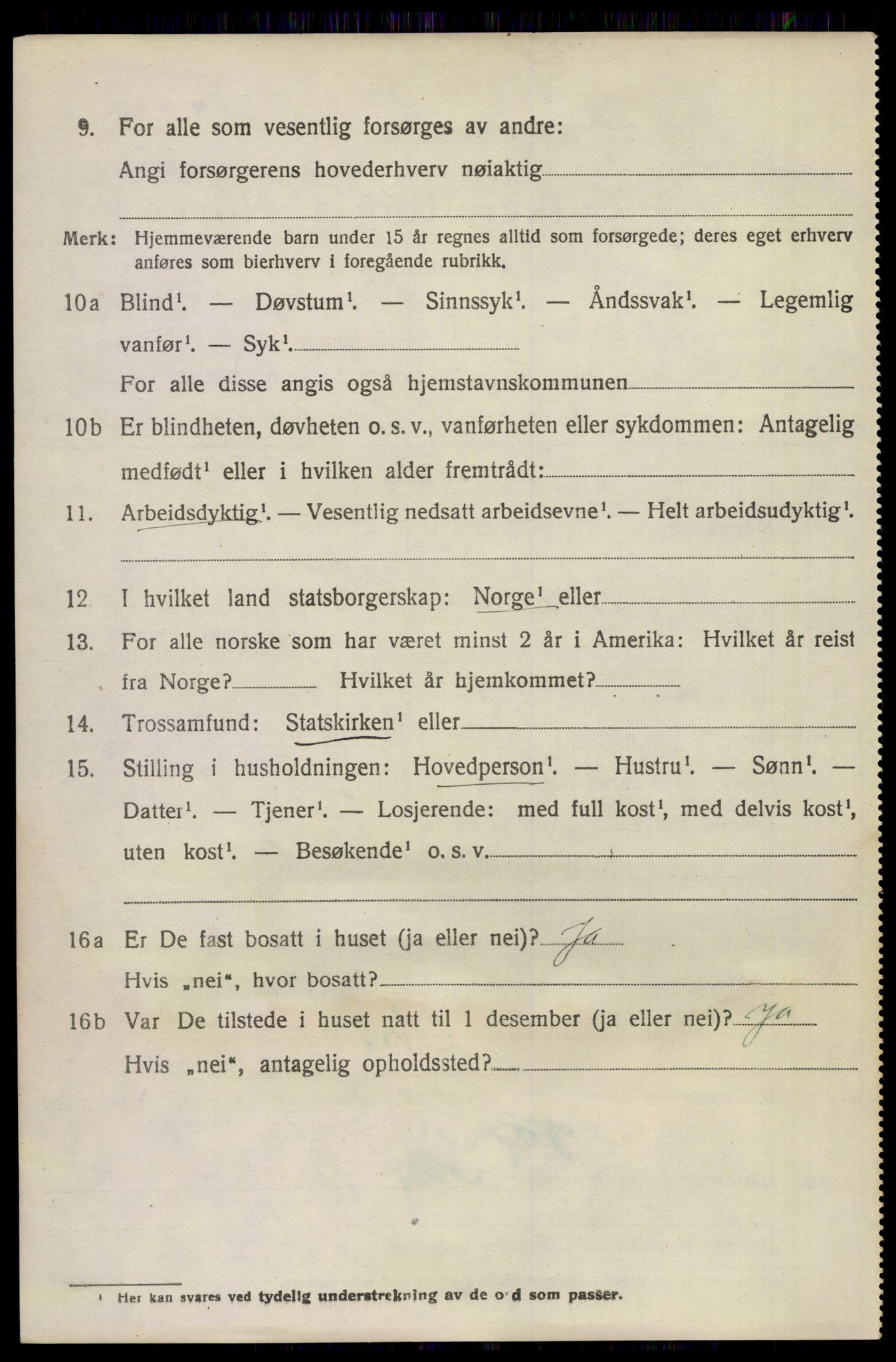 SAKO, 1920 census for Stokke, 1920, p. 10917