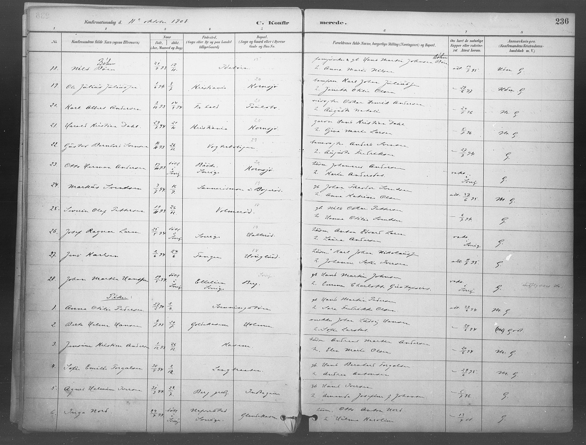 Idd prestekontor Kirkebøker, SAO/A-10911/F/Fb/L0002: Parish register (official) no. II 2, 1882-1923, p. 236