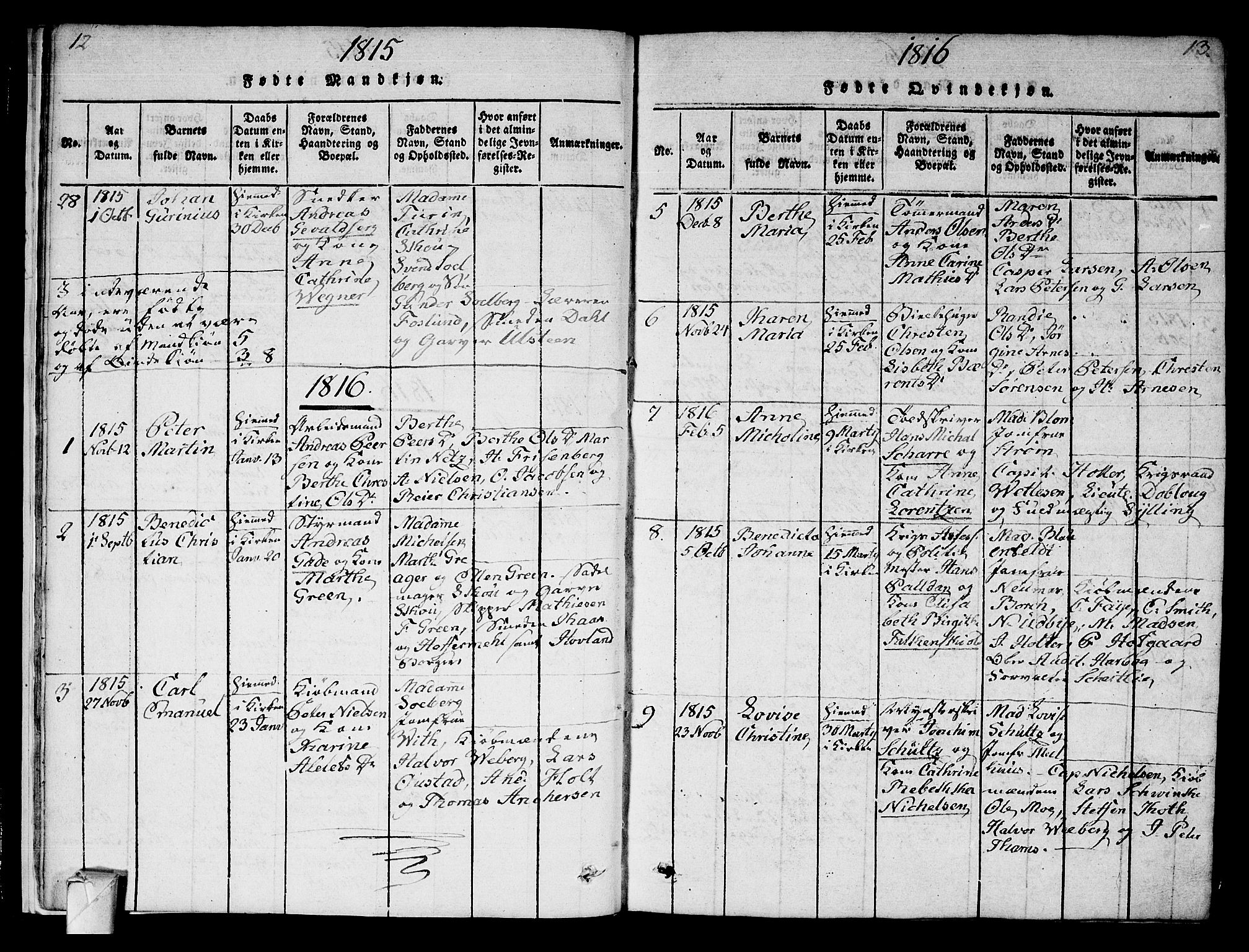 Strømsø kirkebøker, AV/SAKO-A-246/F/Fa/L0011: Parish register (official) no. I 11, 1815-1829, p. 12-13