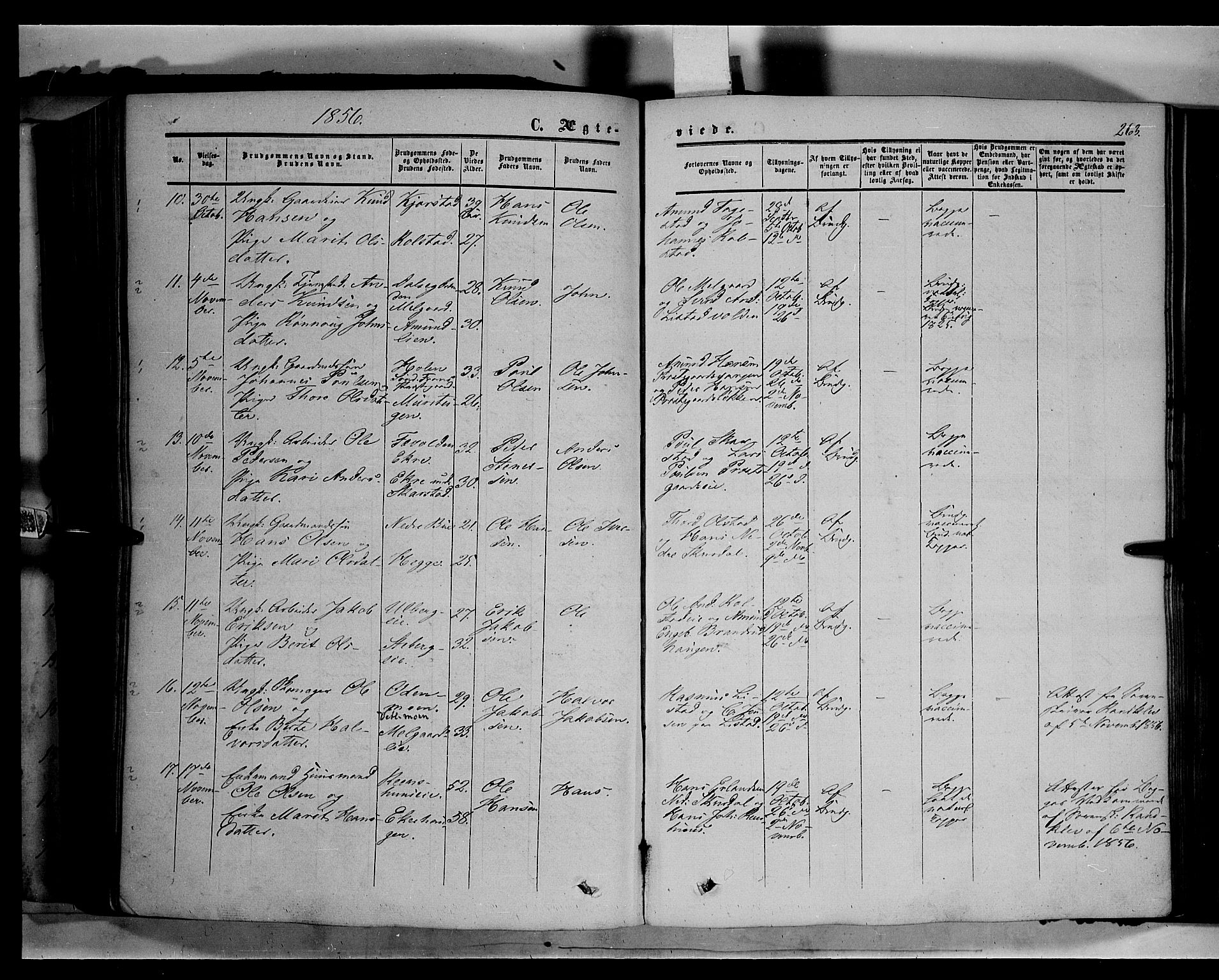 Sør-Fron prestekontor, SAH/PREST-010/H/Ha/Haa/L0001: Parish register (official) no. 1, 1849-1863, p. 263