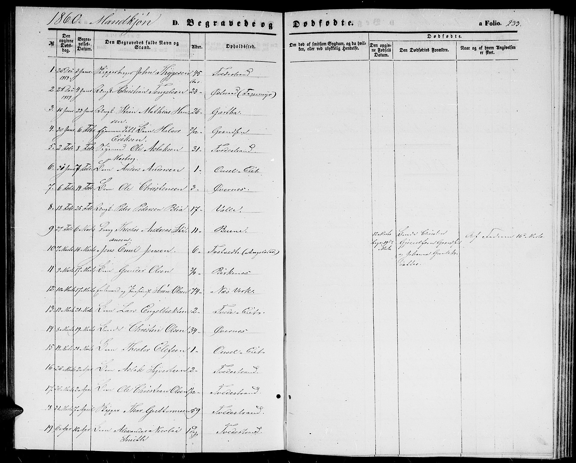 Holt sokneprestkontor, AV/SAK-1111-0021/F/Fb/L0008: Parish register (copy) no. B 8, 1858-1871, p. 233