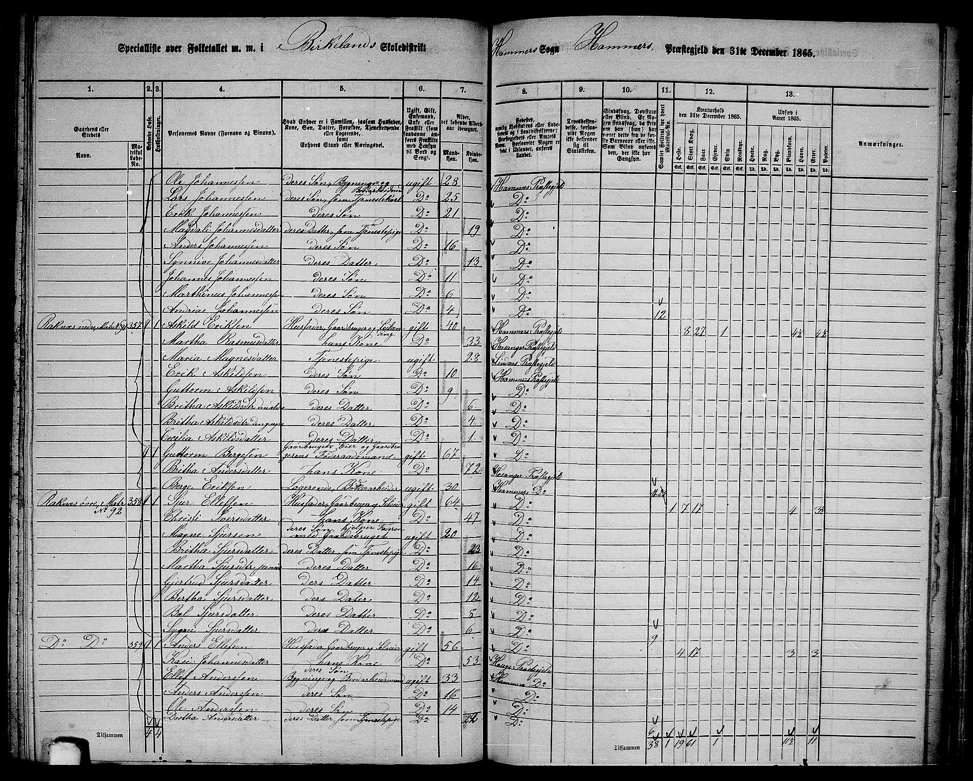 RA, 1865 census for Hamre, 1865, p. 133