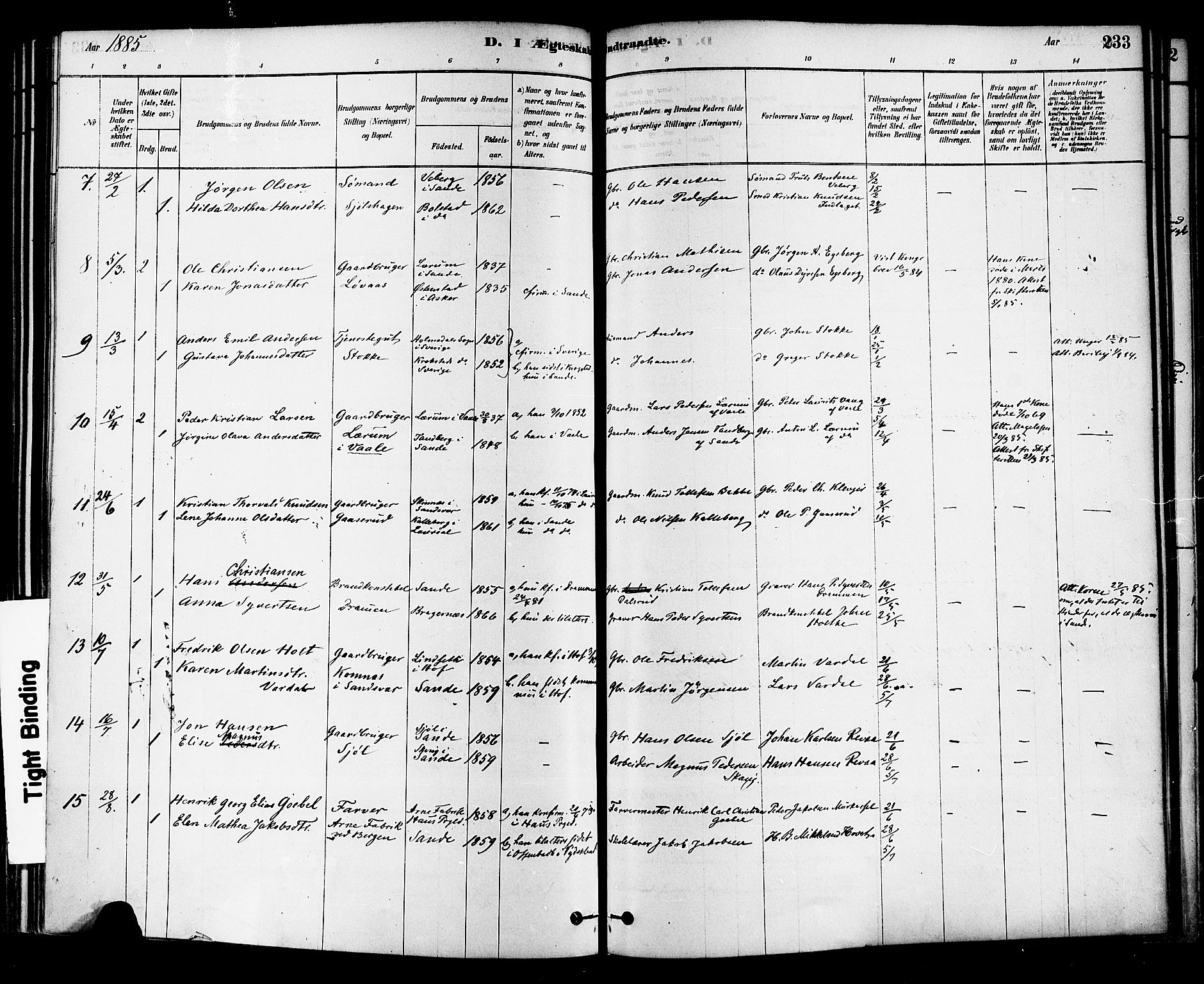 Sande Kirkebøker, AV/SAKO-A-53/F/Fa/L0006: Parish register (official) no. 6, 1878-1888, p. 233