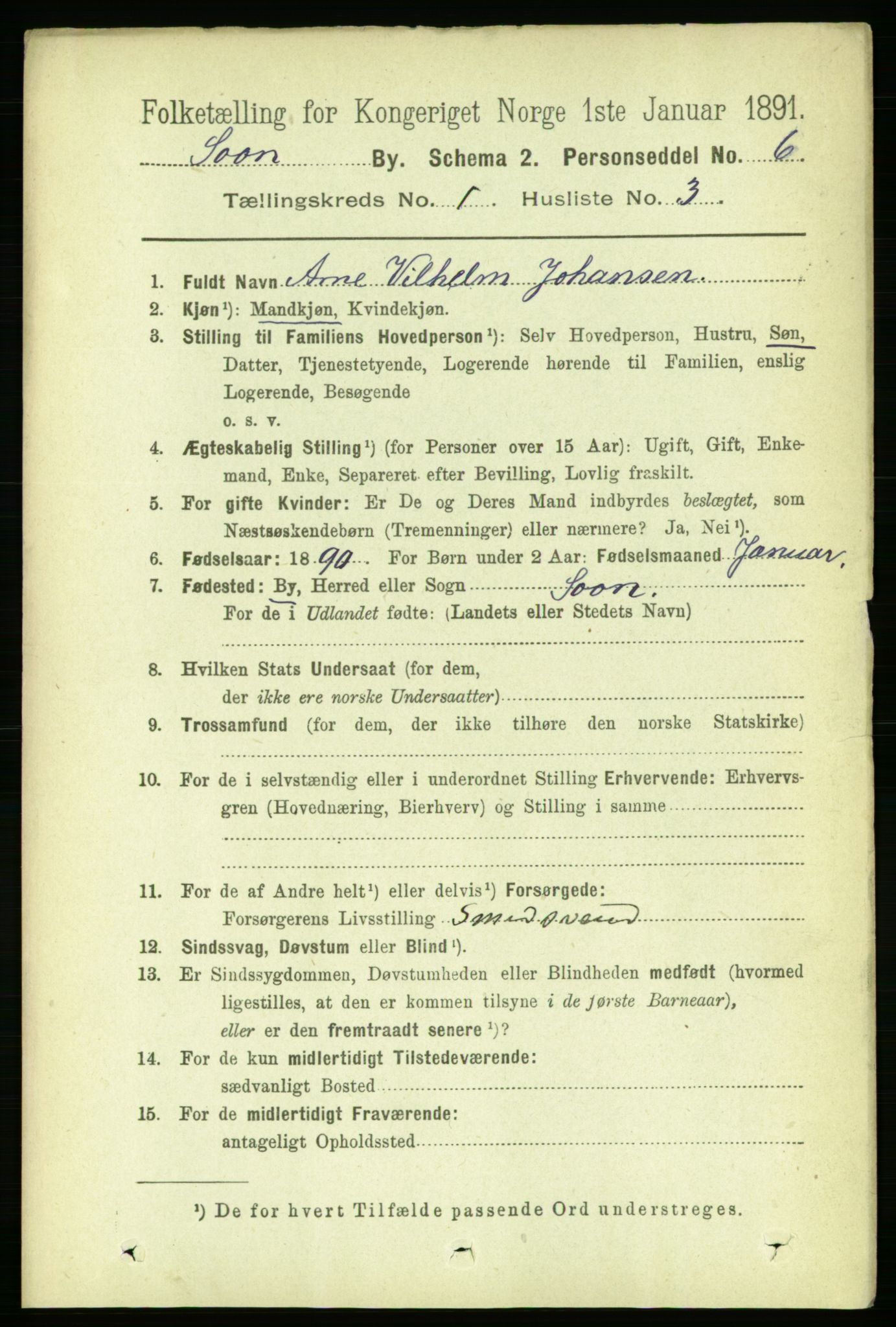 RA, 1891 census for 0201 Son, 1891, p. 30