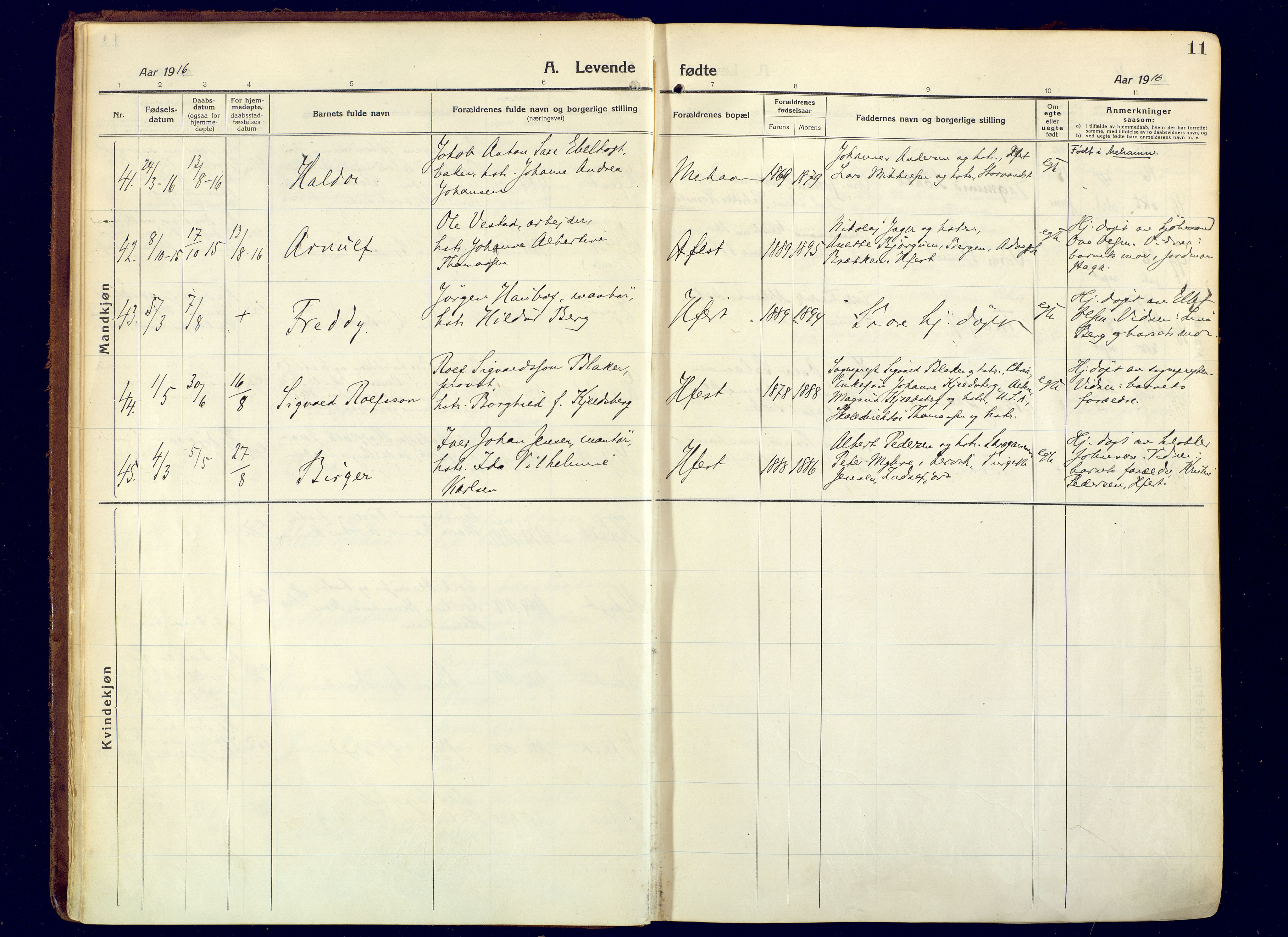 Hammerfest sokneprestkontor, AV/SATØ-S-1347/H/Ha/L0015.kirke: Parish register (official) no. 15, 1916-1923, p. 11